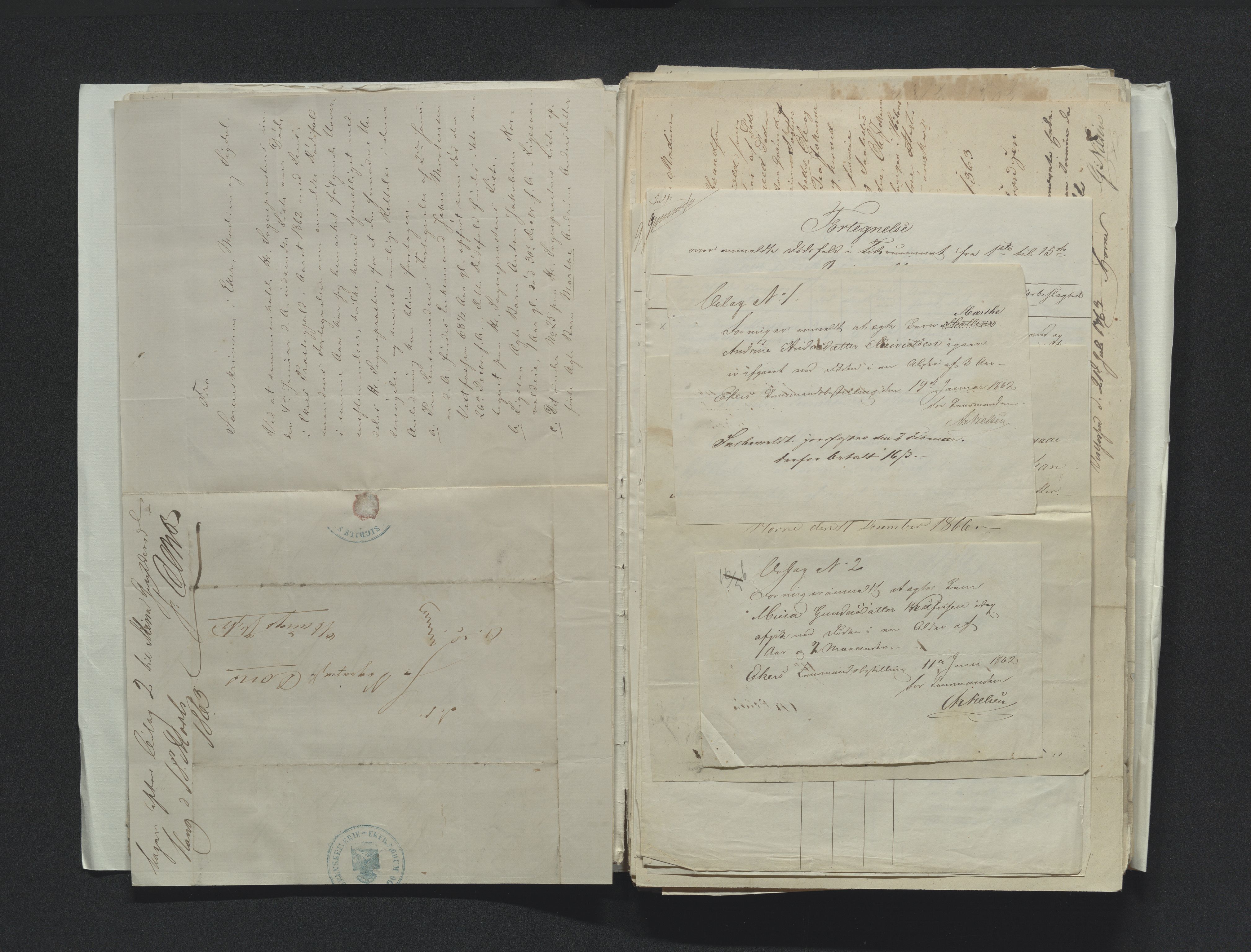 Eiker, Modum og Sigdal sorenskriveri, AV/SAKO-A-123/H/Ha/Hab/L0011: Dødsfallsmeldinger, 1862-1865, s. 9