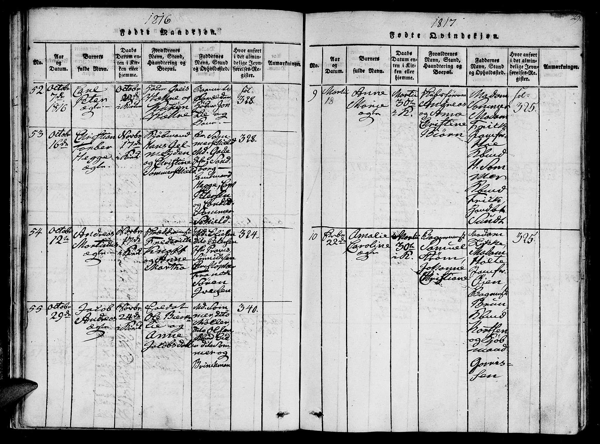 Ministerialprotokoller, klokkerbøker og fødselsregistre - Sør-Trøndelag, SAT/A-1456/602/L0107: Ministerialbok nr. 602A05, 1815-1821, s. 29