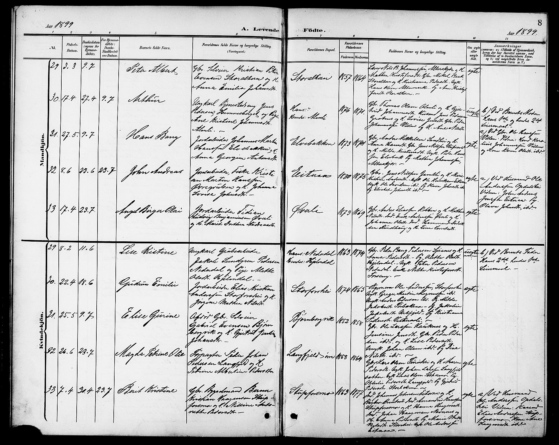 Ministerialprotokoller, klokkerbøker og fødselsregistre - Nordland, SAT/A-1459/827/L0422: Klokkerbok nr. 827C11, 1899-1912, s. 8