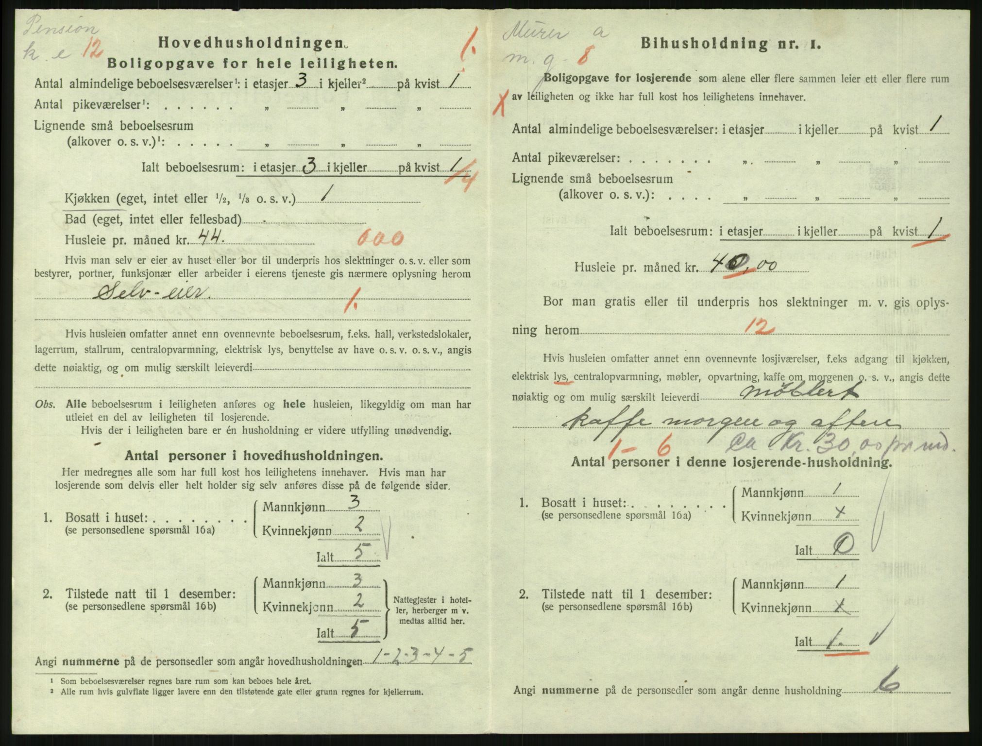 SAKO, Folketelling 1920 for 0703 Horten kjøpstad, 1920, s. 4196