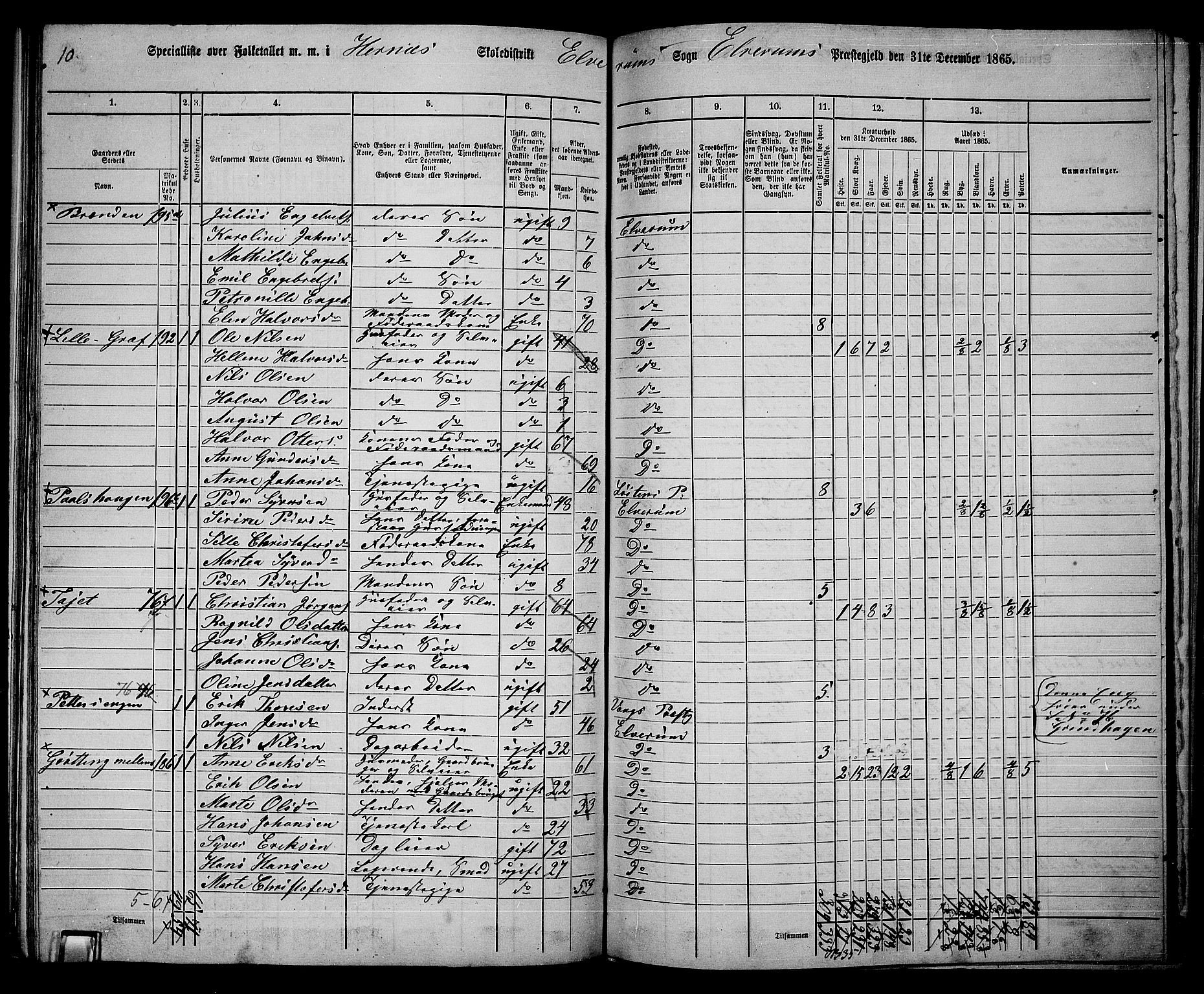 RA, Folketelling 1865 for 0427P Elverum prestegjeld, 1865, s. 163