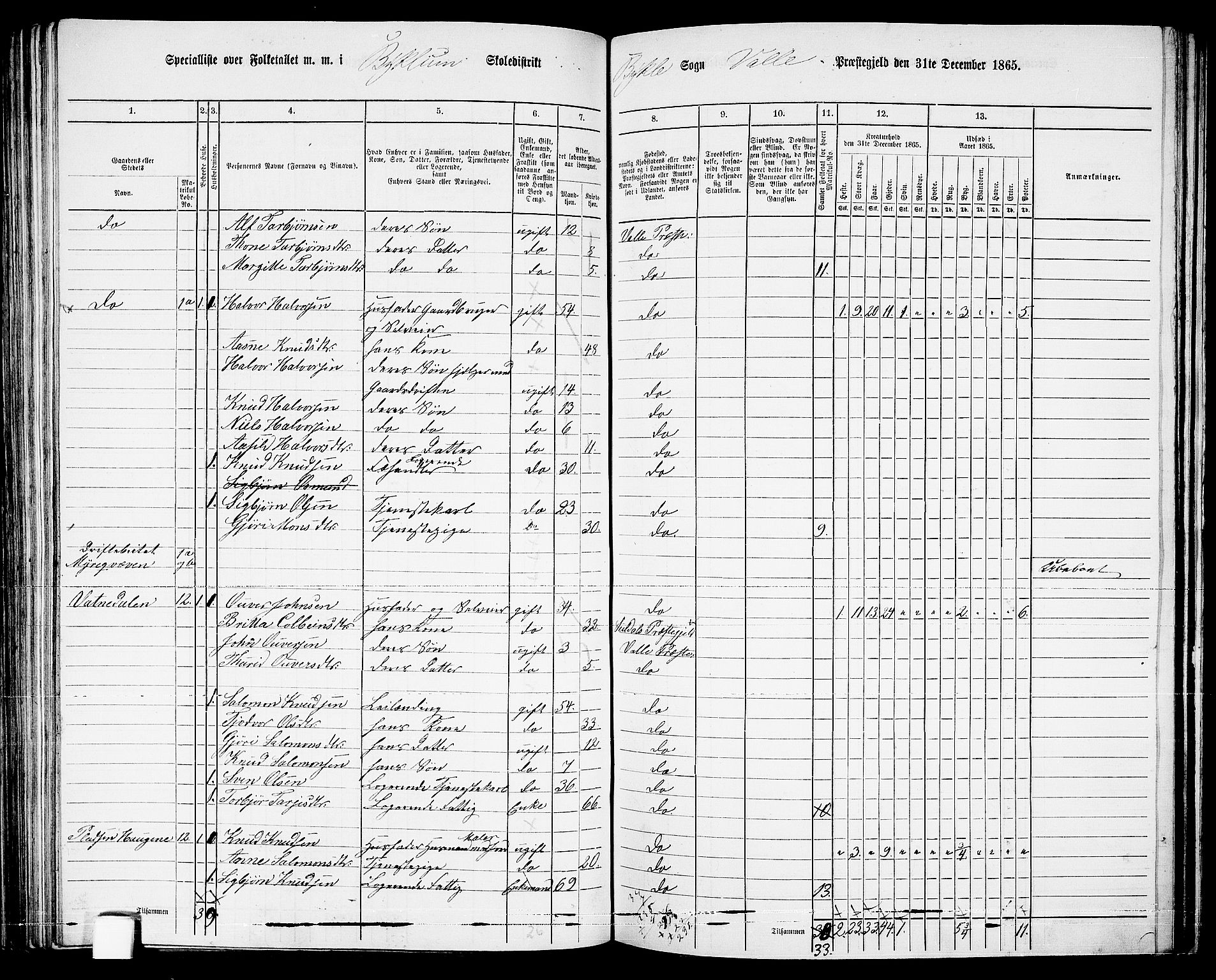 RA, Folketelling 1865 for 0940P Valle prestegjeld, 1865, s. 87