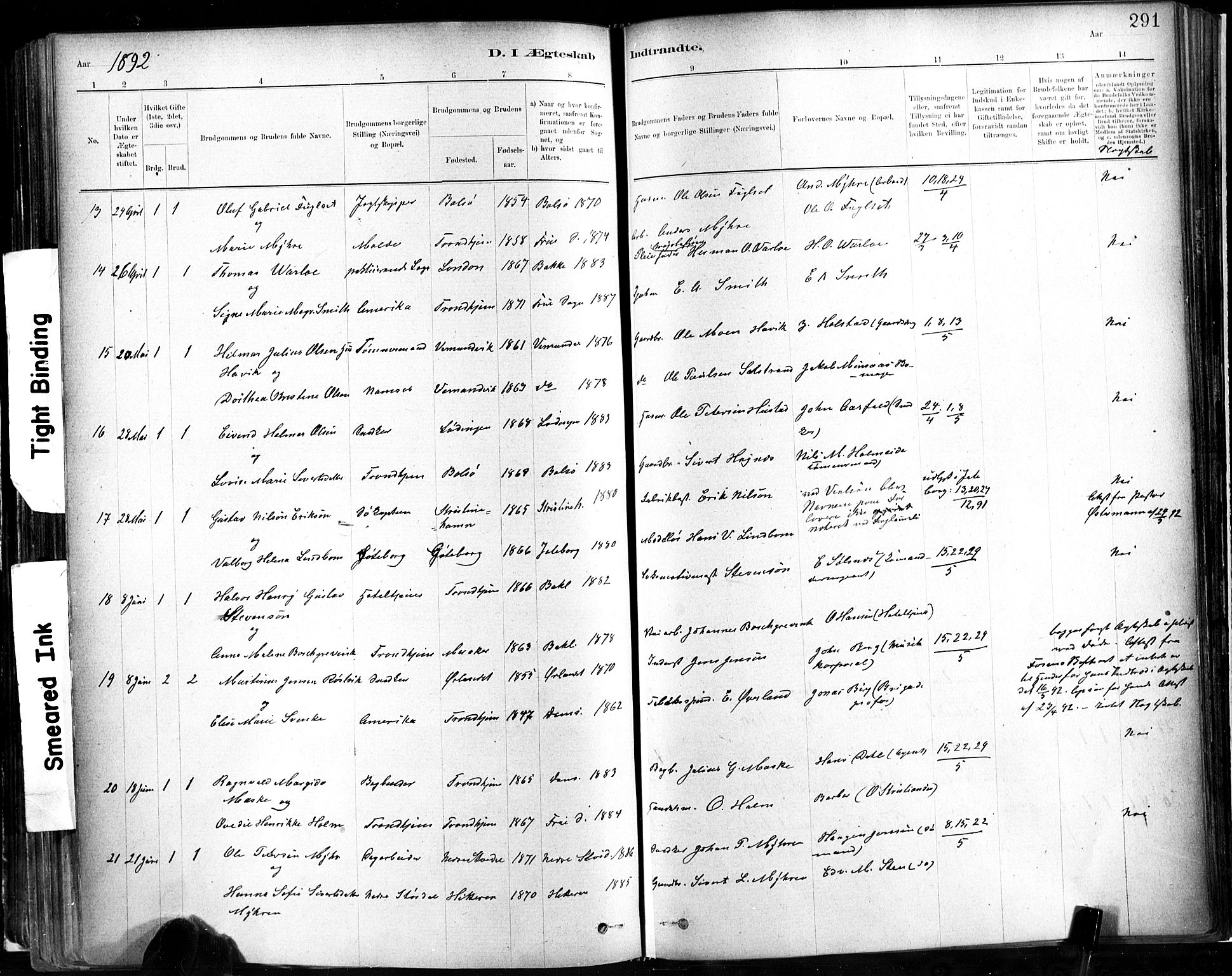 Ministerialprotokoller, klokkerbøker og fødselsregistre - Sør-Trøndelag, SAT/A-1456/602/L0119: Ministerialbok nr. 602A17, 1880-1901, s. 291