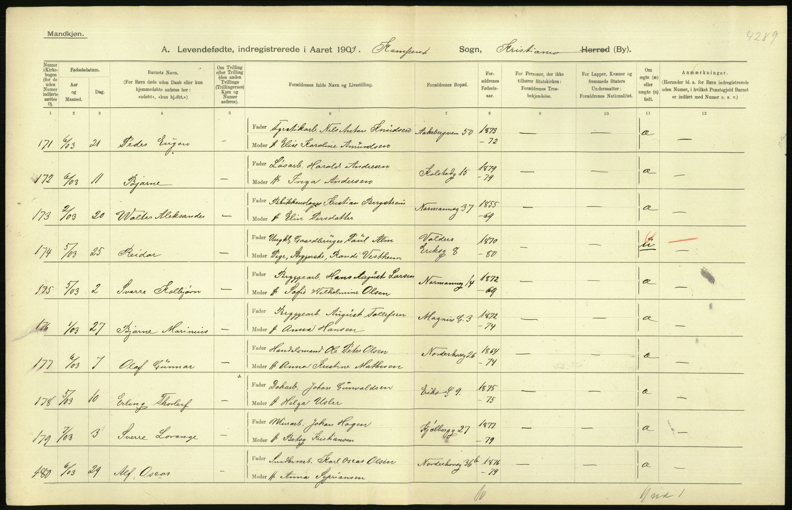 Statistisk sentralbyrå, Sosiodemografiske emner, Befolkning, AV/RA-S-2228/D/Df/Dfa/Dfaa/L0003: Kristiania: Fødte, 1903, s. 176