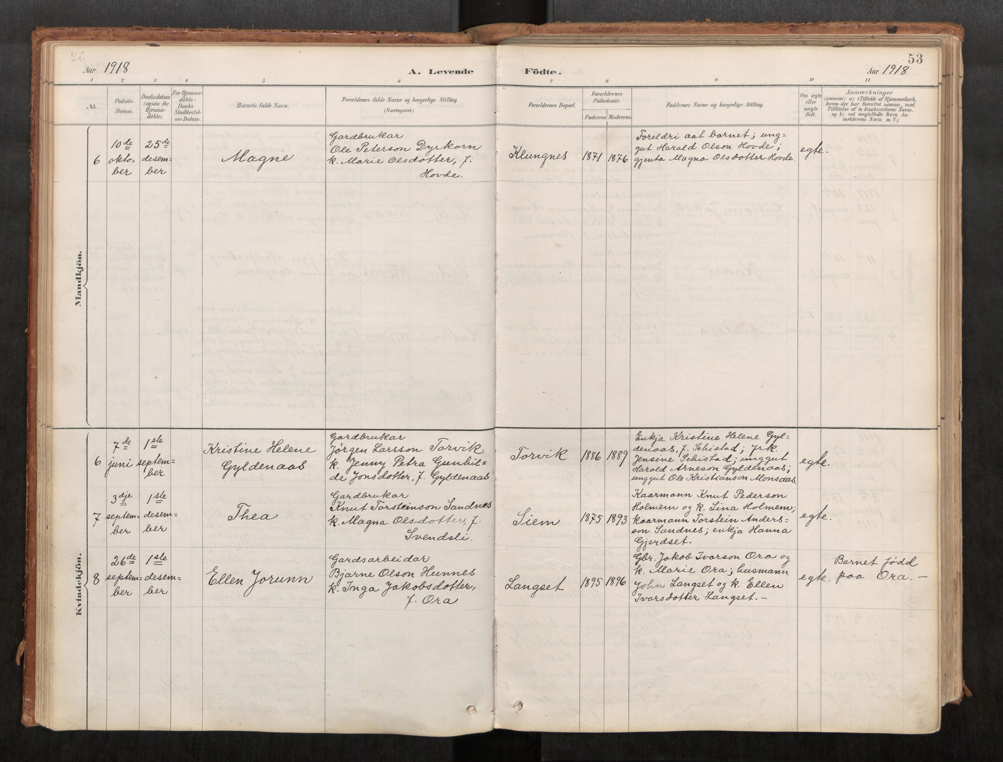 Ministerialprotokoller, klokkerbøker og fødselsregistre - Møre og Romsdal, AV/SAT-A-1454/542/L0553: Ministerialbok nr. 542A03, 1885-1925, s. 53
