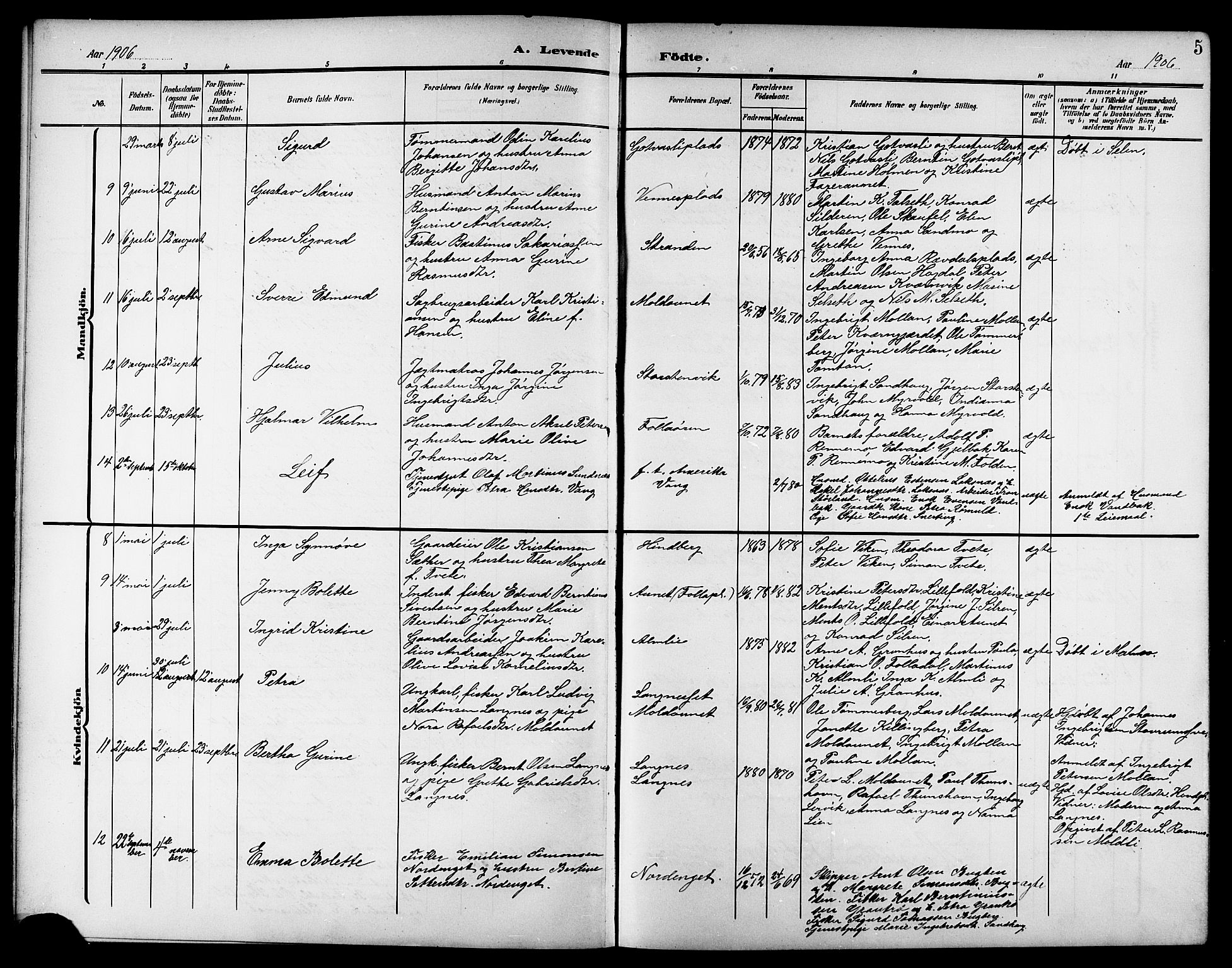 Ministerialprotokoller, klokkerbøker og fødselsregistre - Nord-Trøndelag, AV/SAT-A-1458/744/L0424: Klokkerbok nr. 744C03, 1906-1923, s. 5