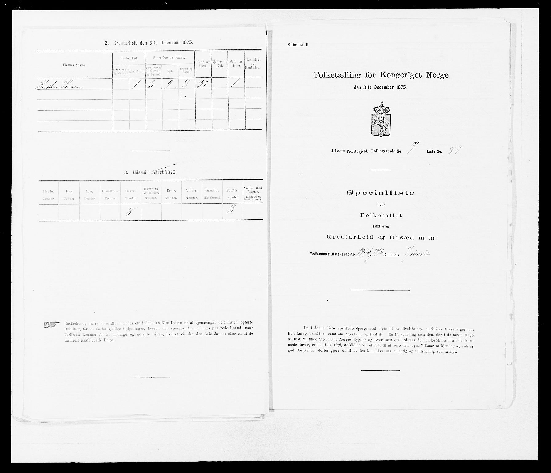 SAB, Folketelling 1875 for 1431P Jølster prestegjeld, 1875, s. 694