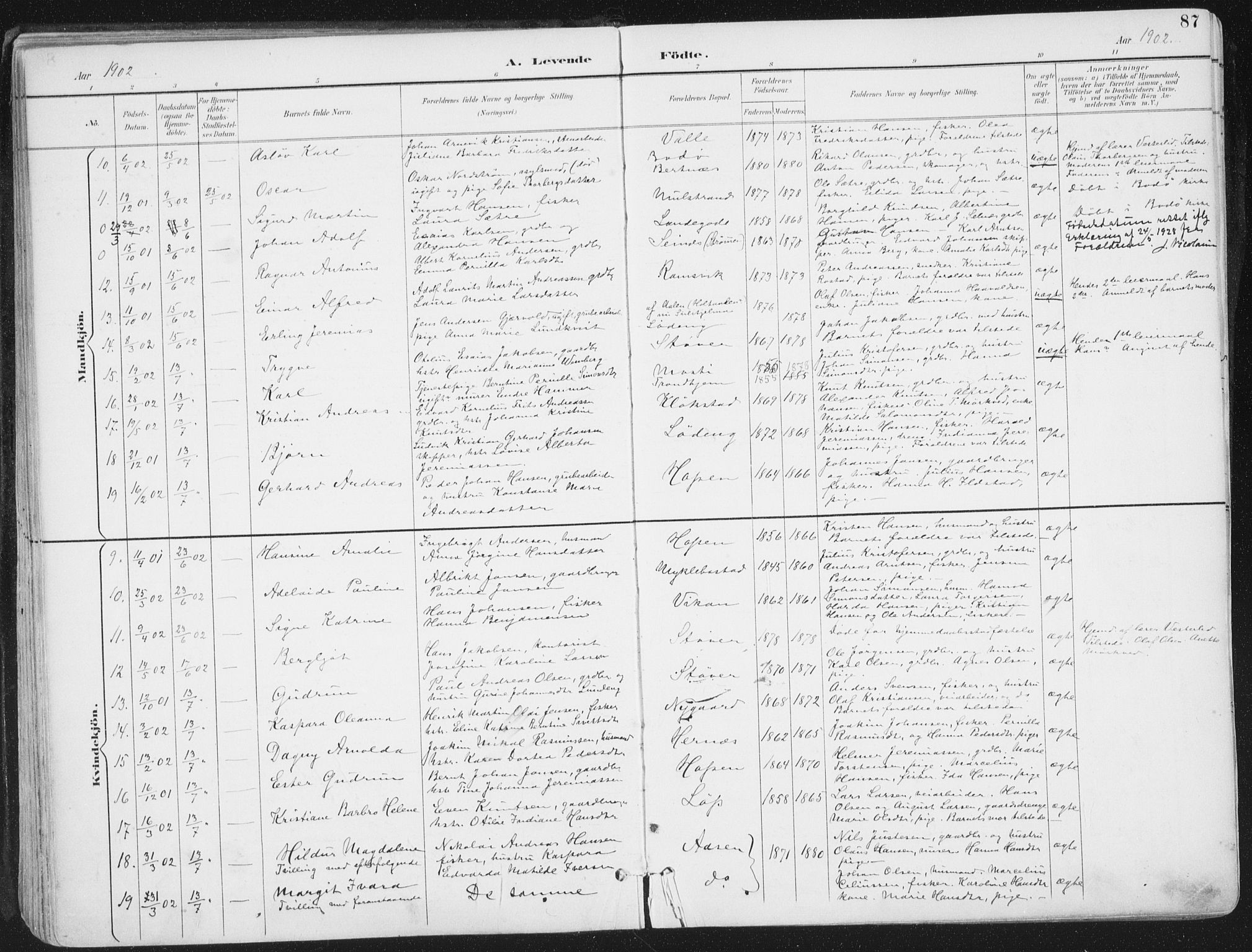Ministerialprotokoller, klokkerbøker og fødselsregistre - Nordland, AV/SAT-A-1459/802/L0055: Ministerialbok nr. 802A02, 1894-1915, s. 87