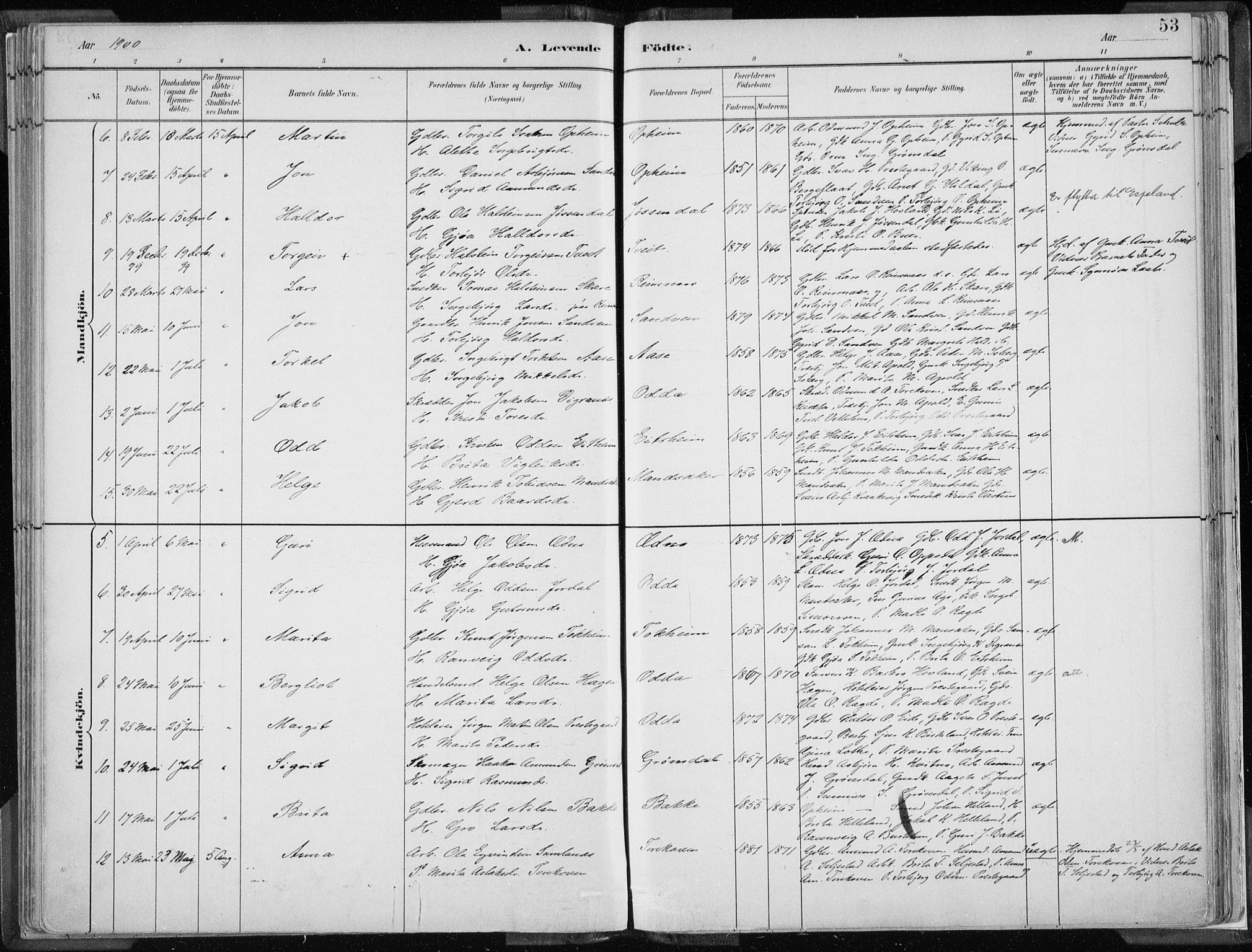 Odda Sokneprestembete, AV/SAB-A-77201/H/Haa: Ministerialbok nr. A  3, 1882-1913, s. 53