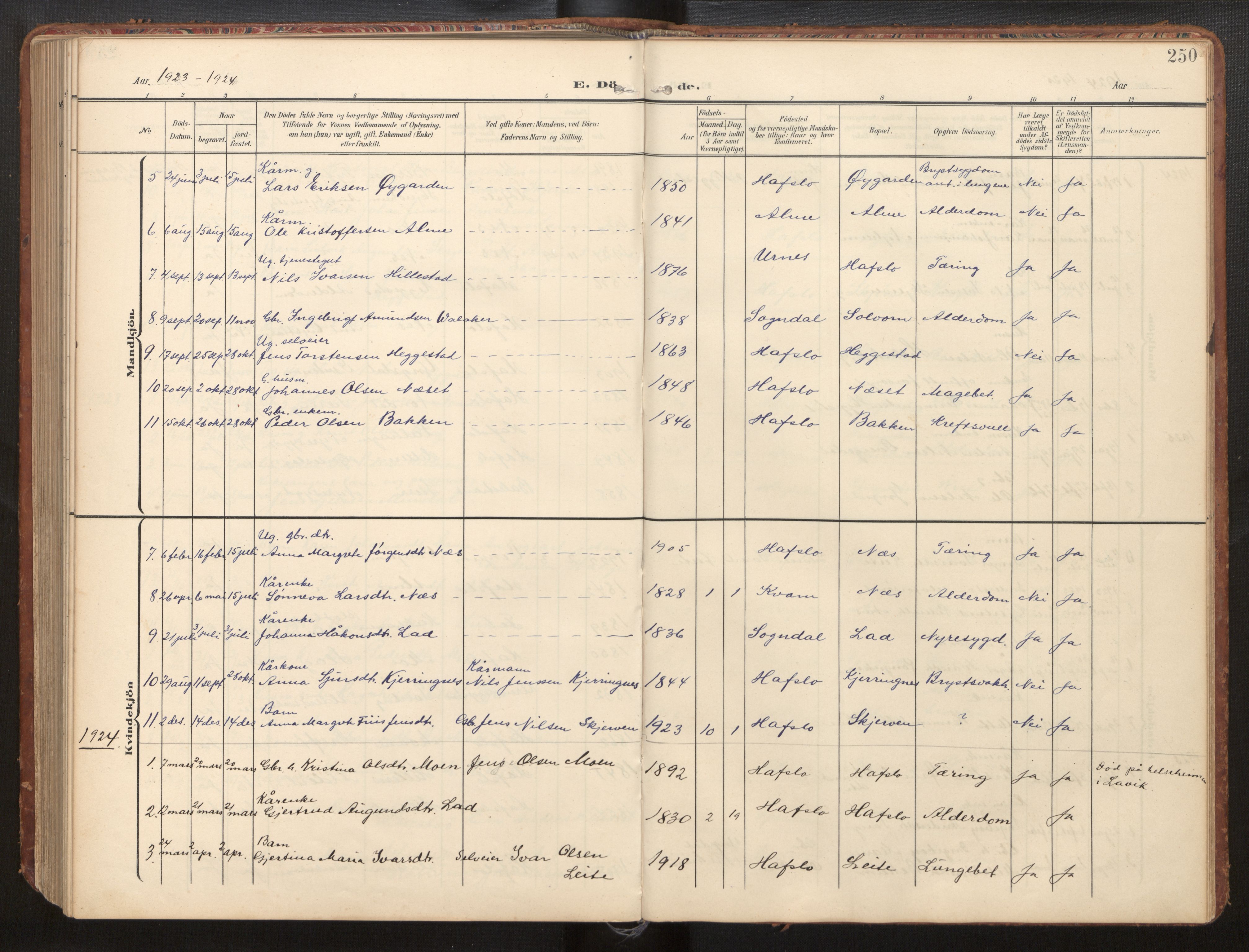 Hafslo sokneprestembete, AV/SAB-A-80301/H/Hab/Habb/L0002: Klokkerbok nr. B 2, 1909-1947, s. 250