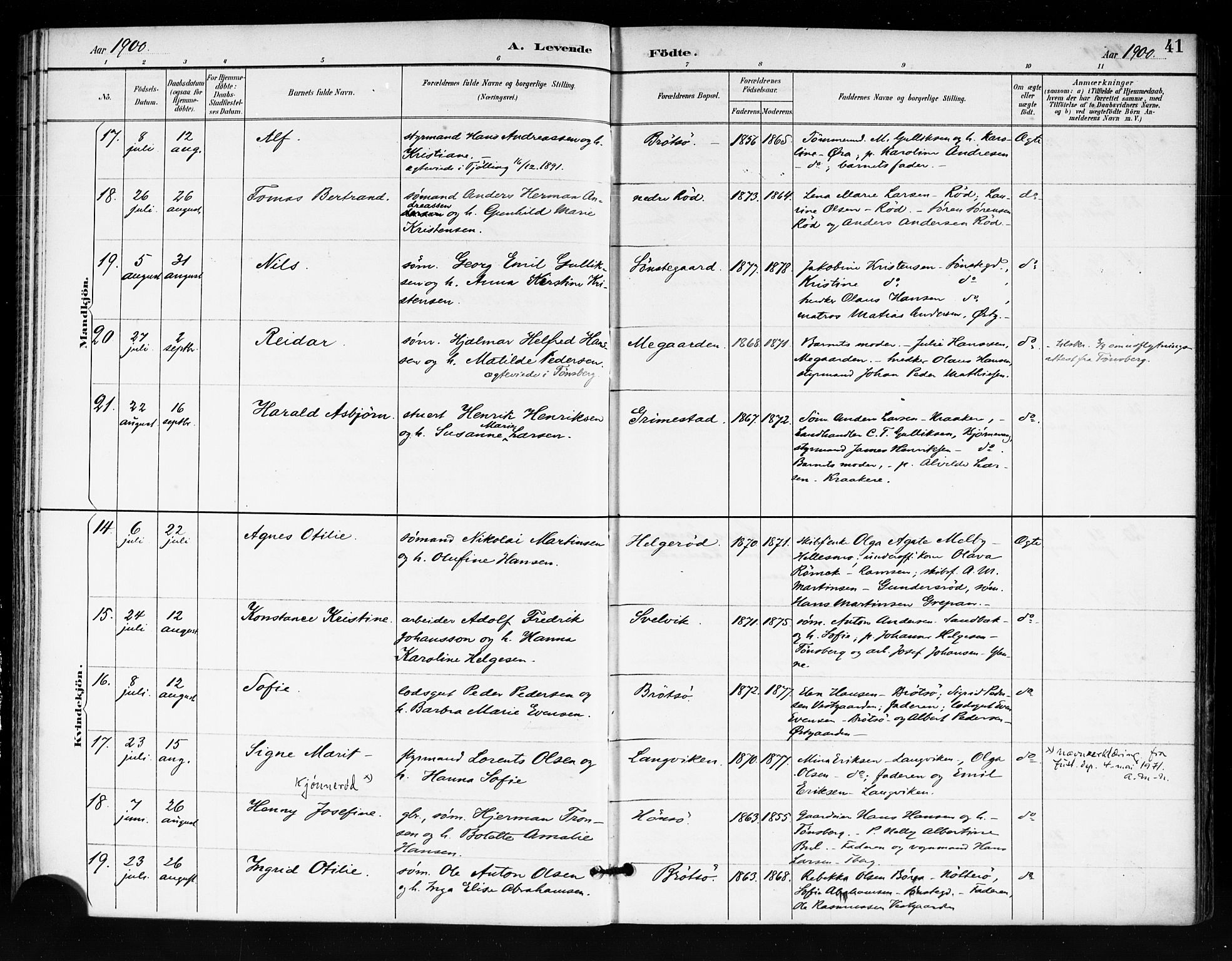 Tjøme kirkebøker, AV/SAKO-A-328/F/Fa/L0003: Ministerialbok nr. I 3, 1891-1900, s. 41
