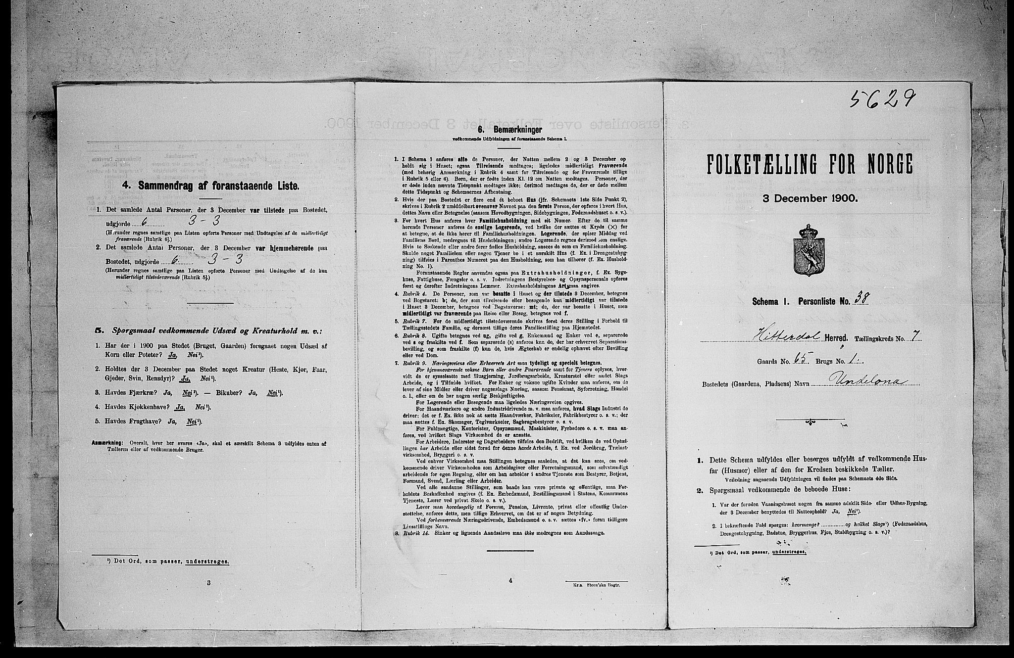 SAKO, Folketelling 1900 for 0823 Heddal herred, 1900, s. 1004