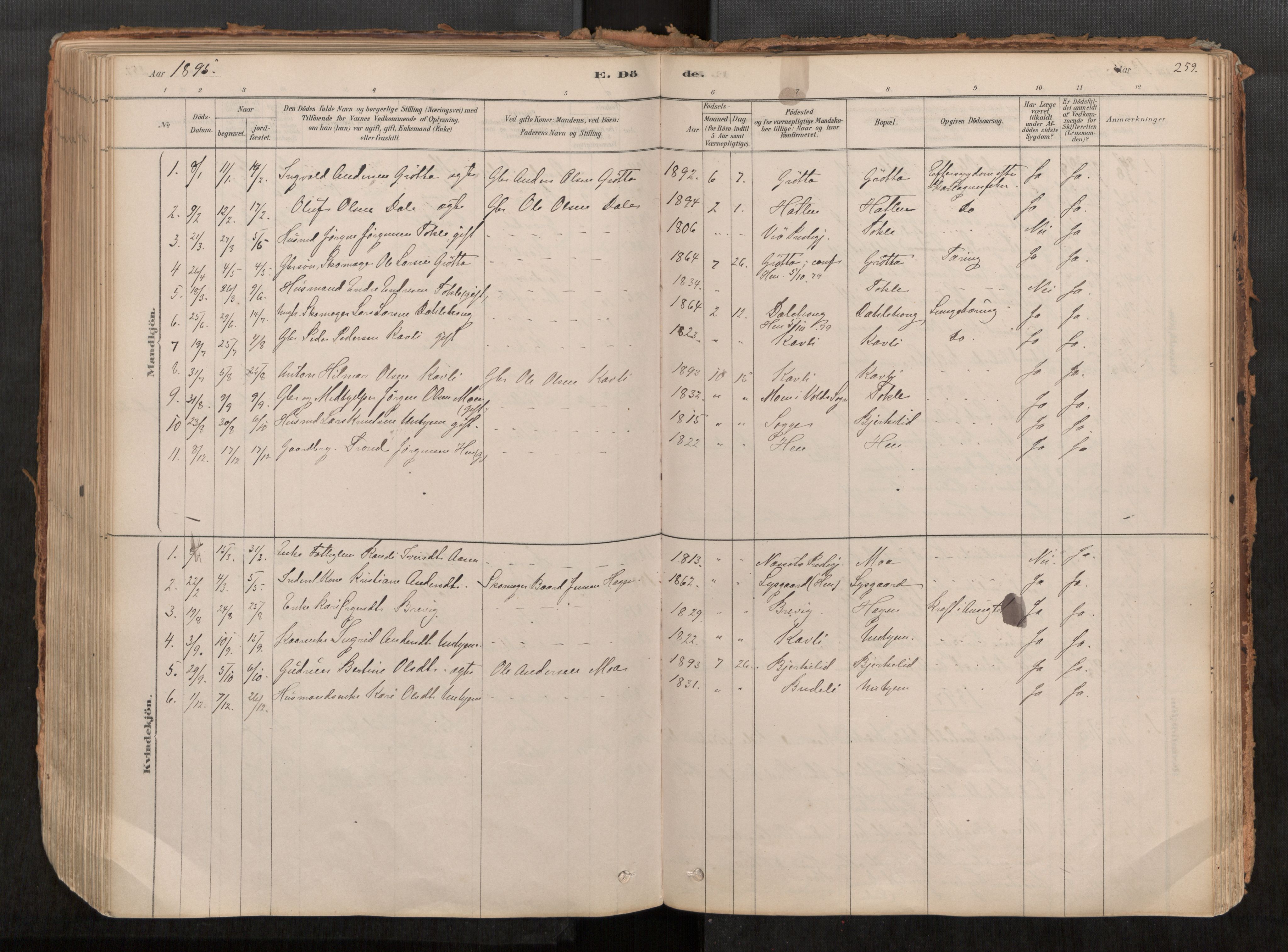 Ministerialprotokoller, klokkerbøker og fødselsregistre - Møre og Romsdal, AV/SAT-A-1454/545/L0594: Ministerialbok nr. 545A03, 1878-1920, s. 259