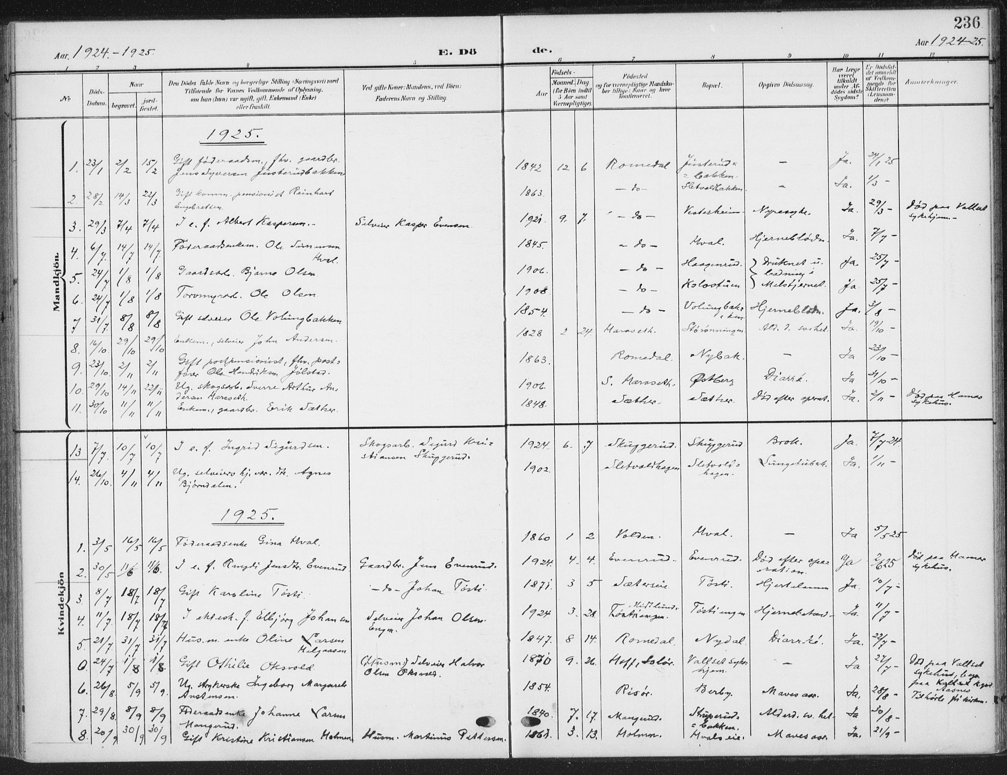 Romedal prestekontor, AV/SAH-PREST-004/K/L0009: Ministerialbok nr. 9, 1906-1929, s. 236