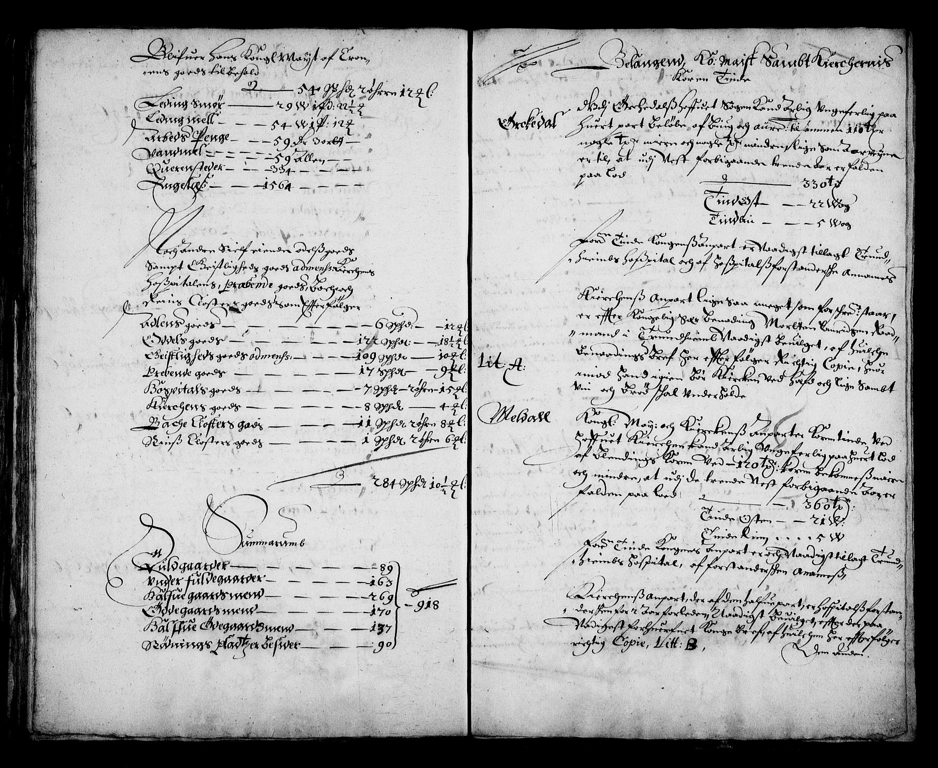 Rentekammeret inntil 1814, Realistisk ordnet avdeling, RA/EA-4070/N/Na/L0002/0003: [XI g]: Trondheims stifts jordebøker: / Orkdal fogderi, 1664