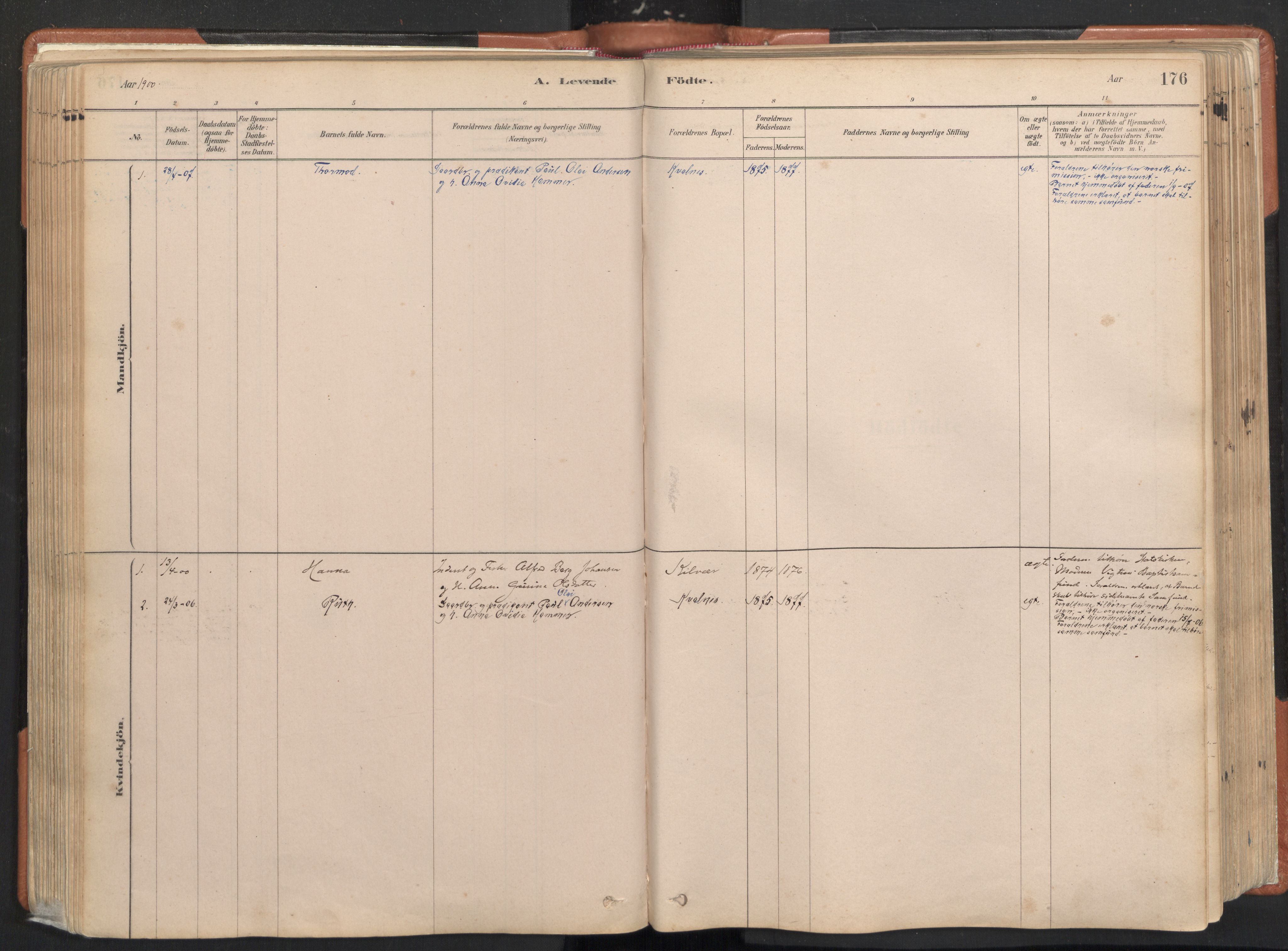Ministerialprotokoller, klokkerbøker og fødselsregistre - Nordland, AV/SAT-A-1459/817/L0264: Ministerialbok nr. 817A04, 1878-1907, s. 176