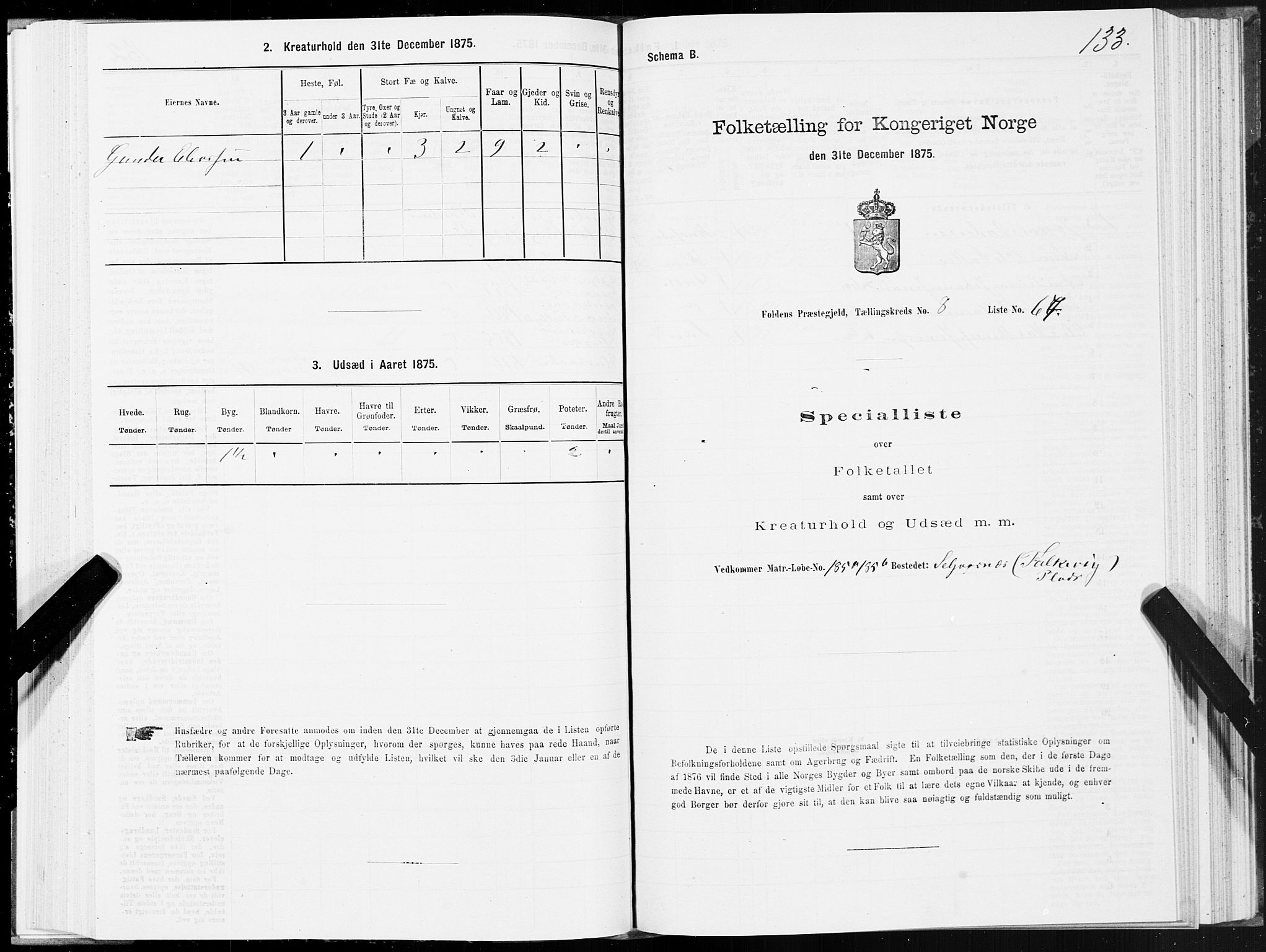 SAT, Folketelling 1875 for 1845P Folda prestegjeld, 1875, s. 3133