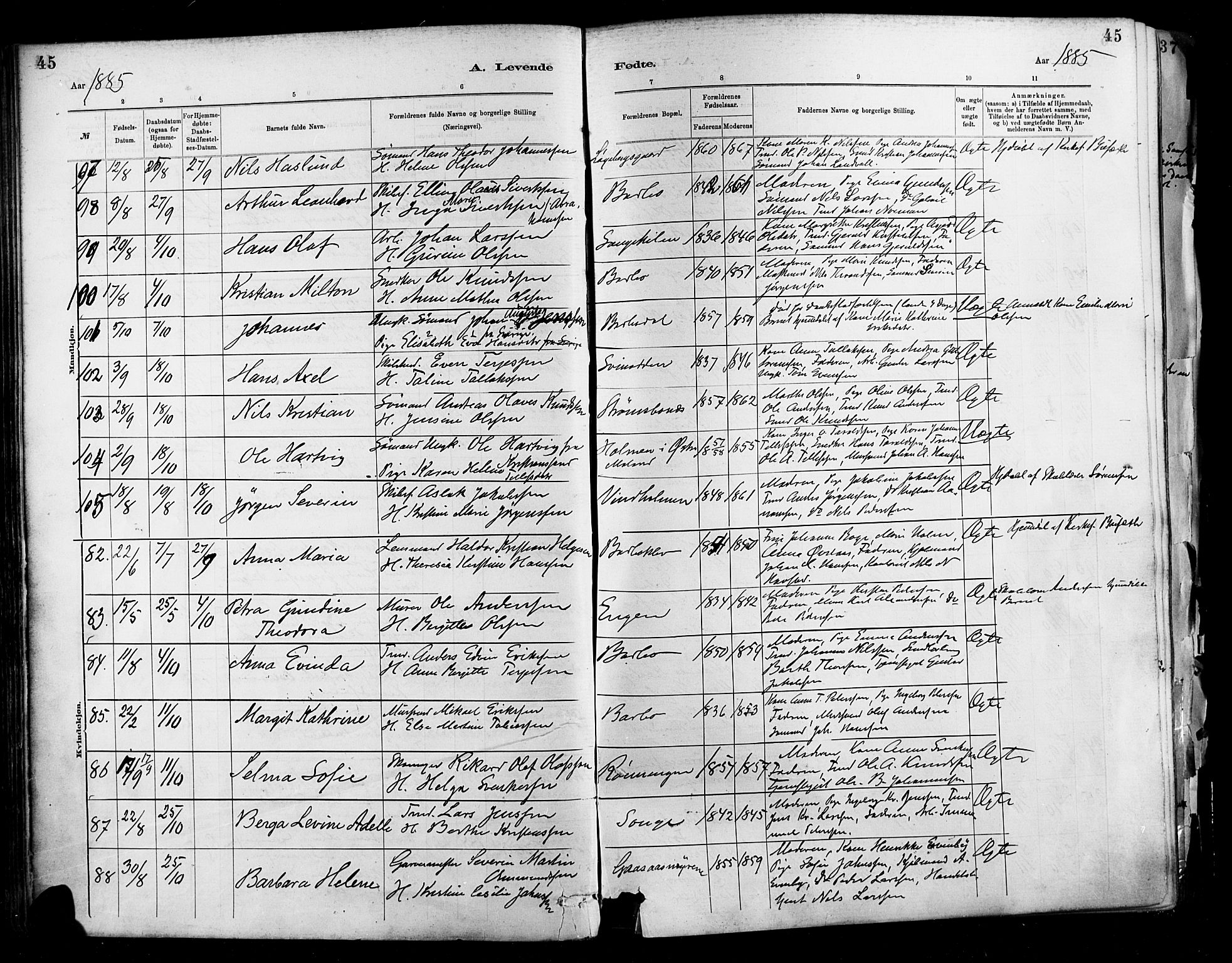 Barbu sokneprestkontor, AV/SAK-1111-0003/F/Fa/L0002: Ministerialbok nr. A 2, 1883-1898, s. 45