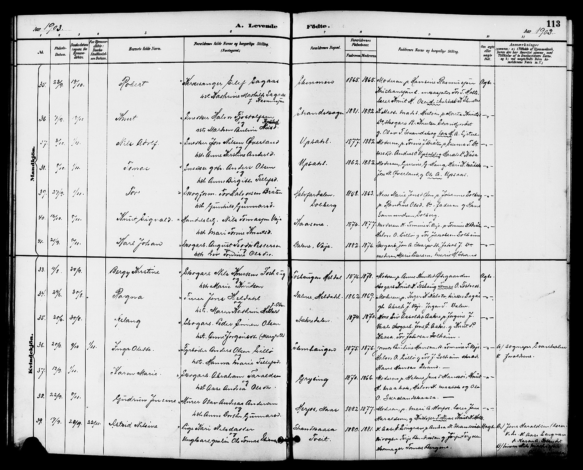 Drangedal kirkebøker, AV/SAKO-A-258/G/Ga/L0003: Klokkerbok nr. I 3, 1887-1906, s. 113