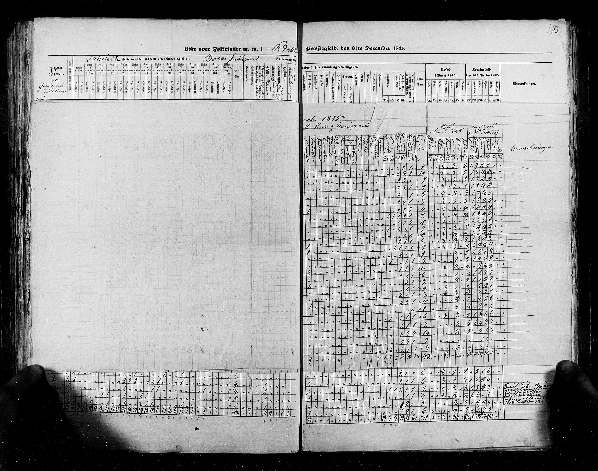 RA, Folketellingen 1845, bind 6: Lister og Mandal amt og Stavanger amt, 1845, s. 183