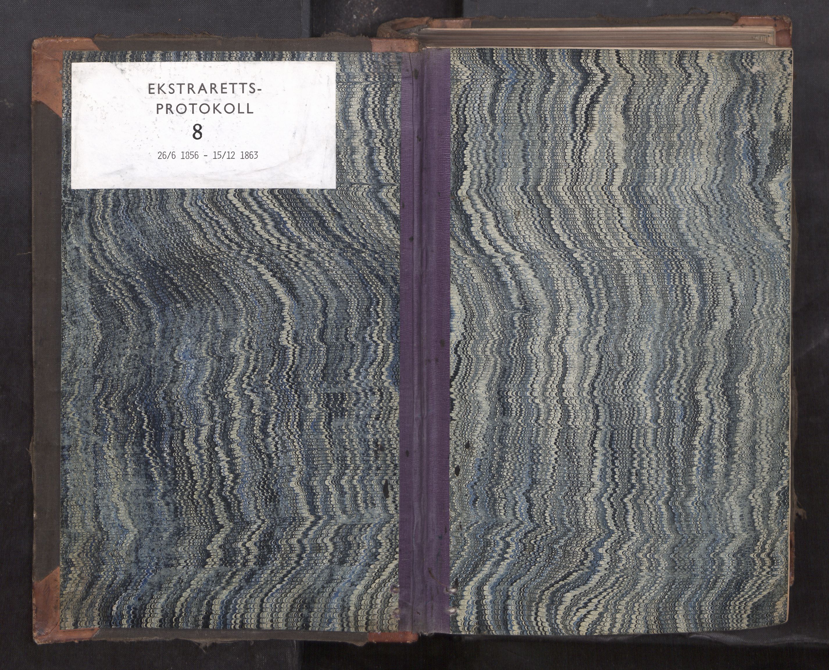 Vesterålen sorenskriveri, SAT/A-4180/1/1/1B/L0008: Ekstrarettsprotokoll, 1856-1863