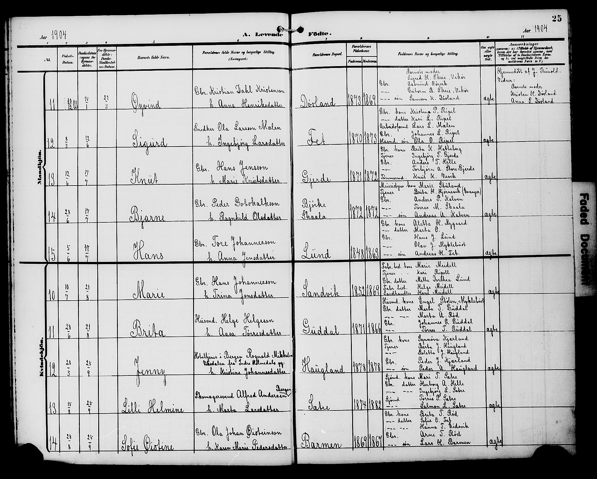 Kvinnherad sokneprestembete, AV/SAB-A-76401/H/Hab: Klokkerbok nr. A 2A, 1901-1911, s. 25