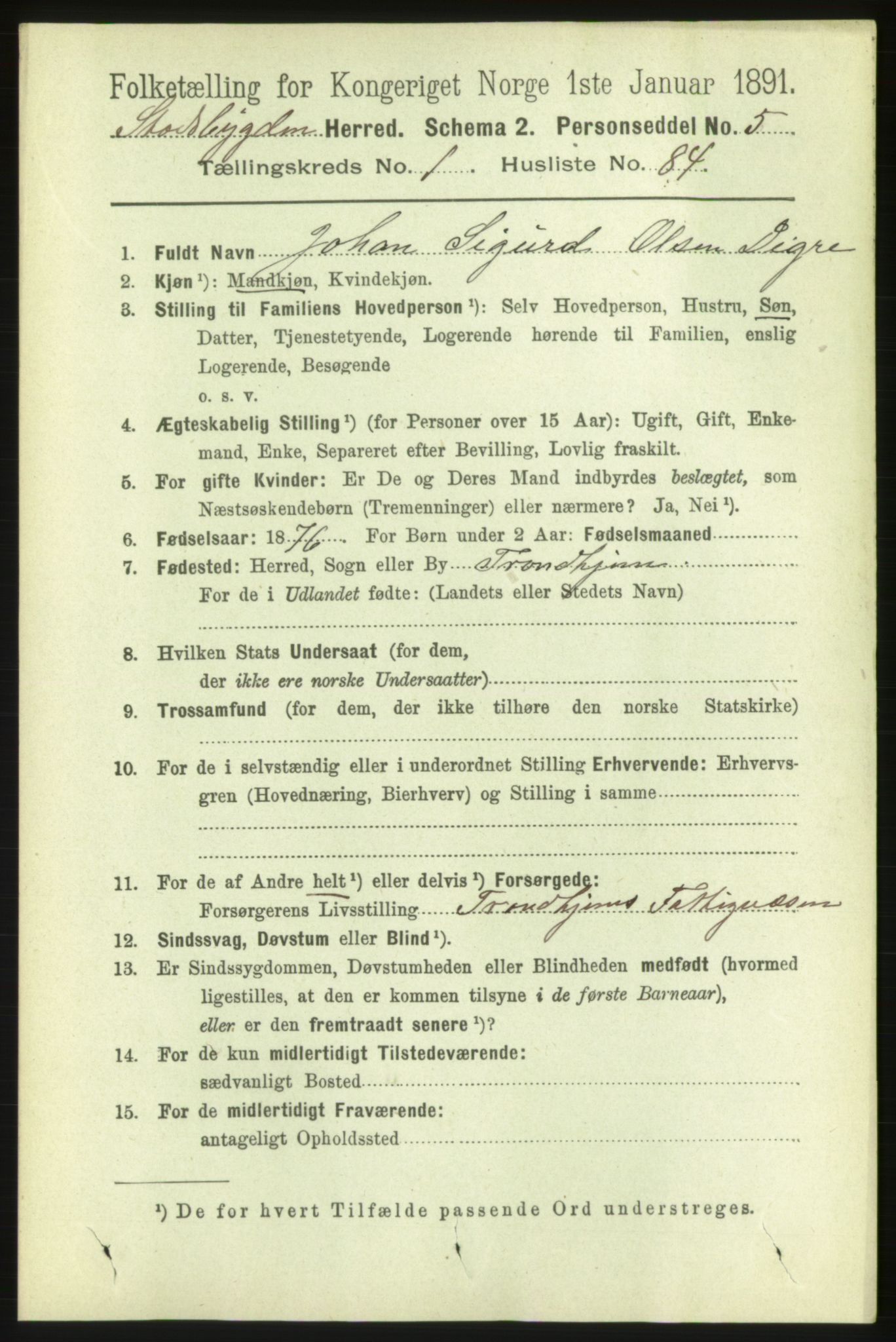 RA, Folketelling 1891 for 1625 Stadsbygd herred, 1891, s. 669