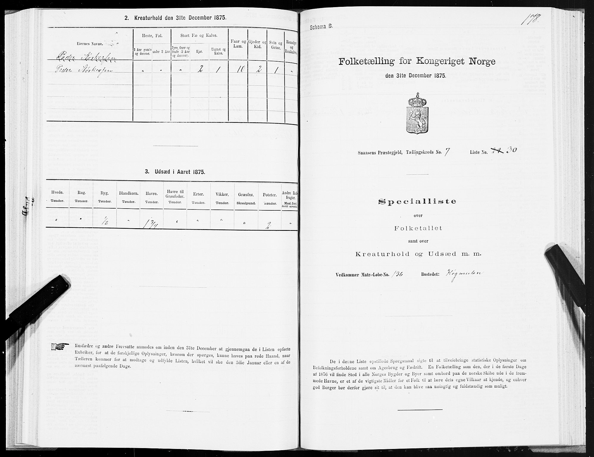 SAT, Folketelling 1875 for 1736P Snåsa prestegjeld, 1875, s. 3178