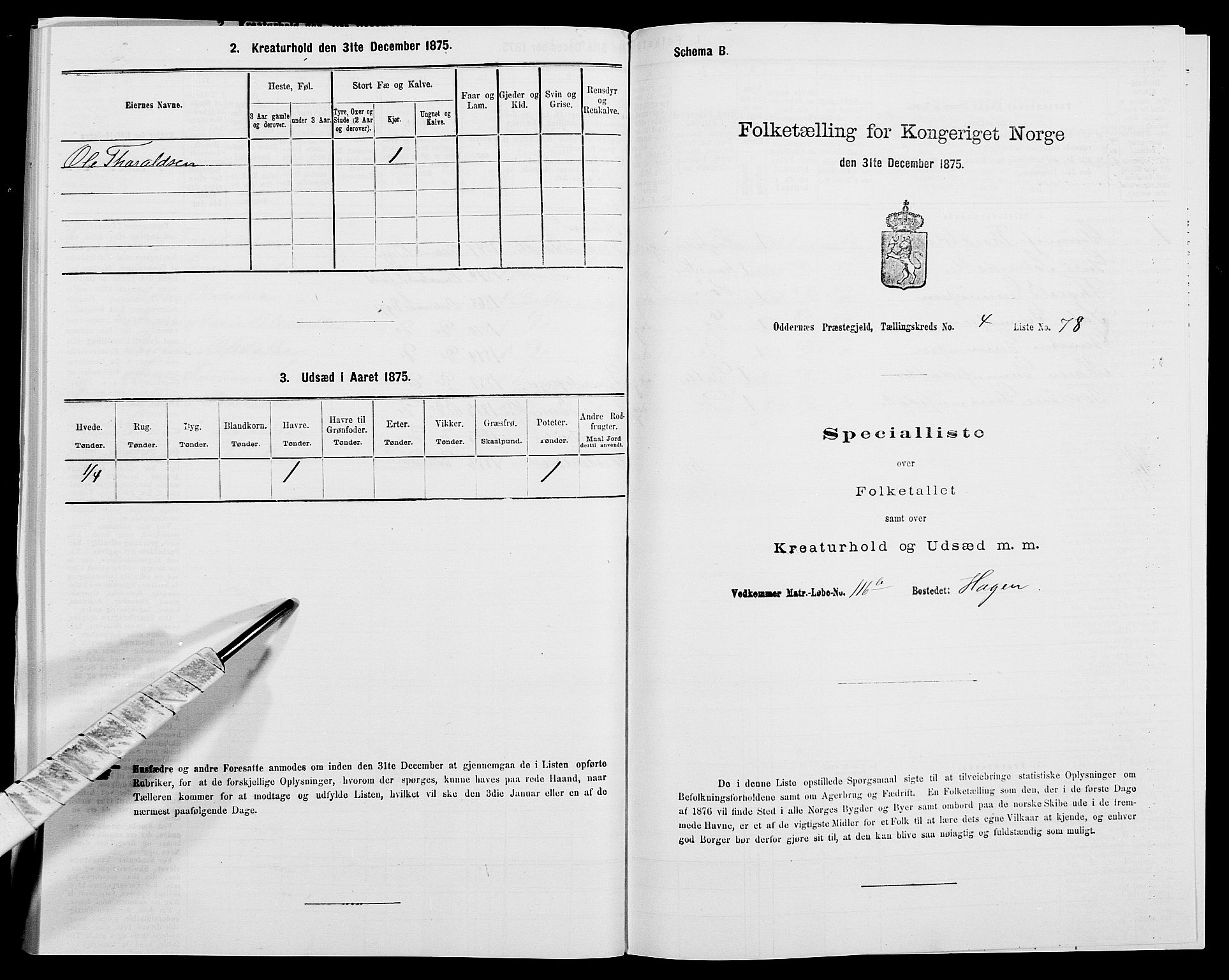 SAK, Folketelling 1875 for 1012P Oddernes prestegjeld, 1875, s. 718