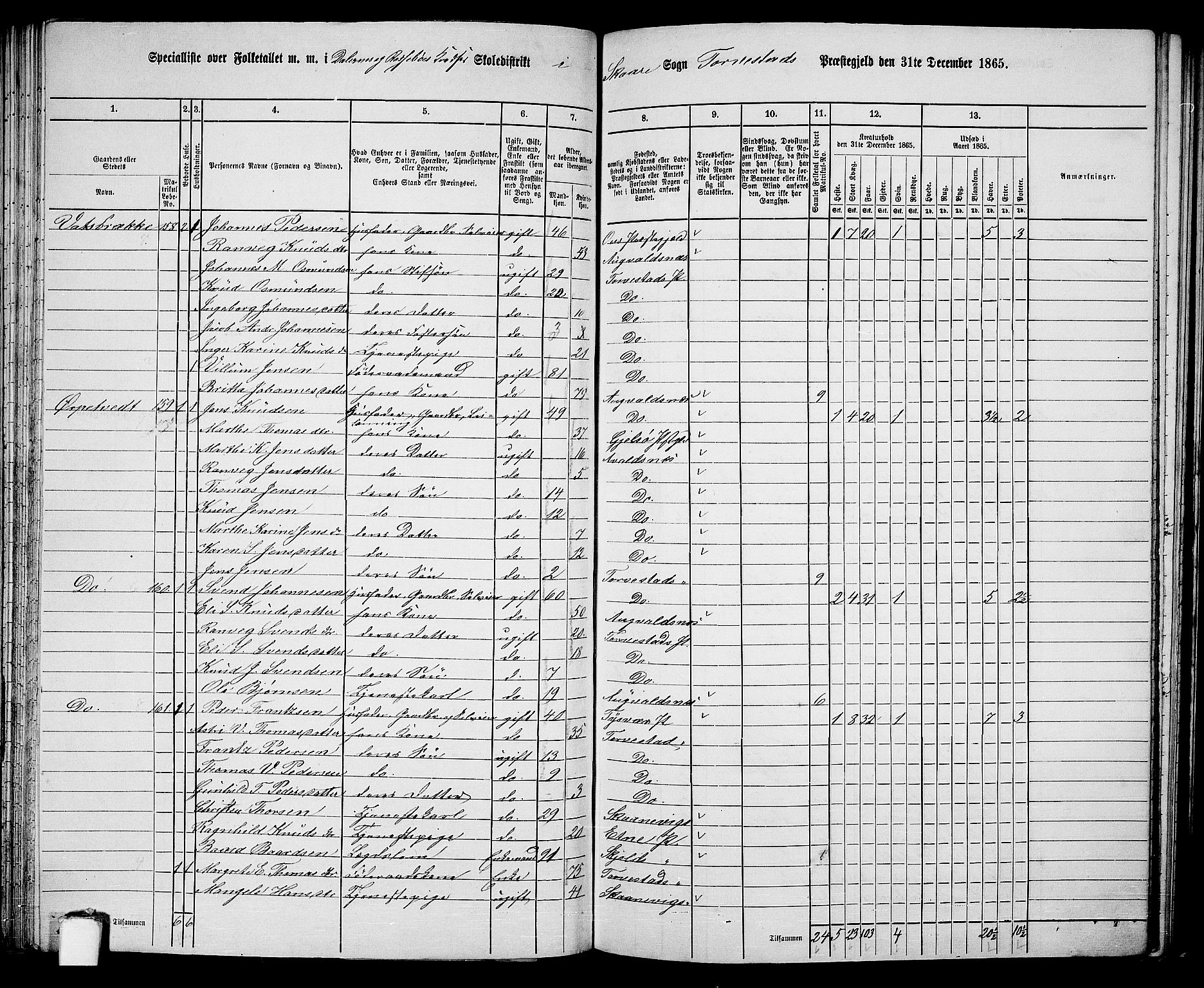 RA, Folketelling 1865 for 1152L Torvastad prestegjeld, Torvastad sokn, Skåre sokn og Utsira sokn, 1865, s. 99