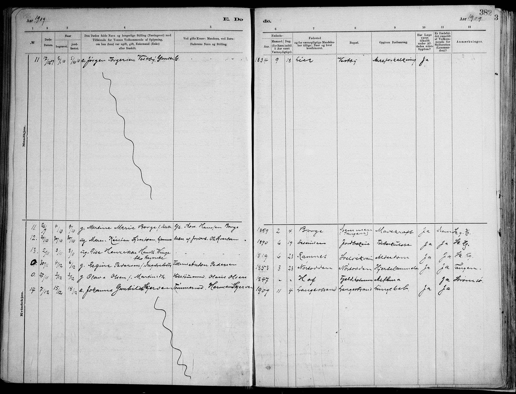 Skoger kirkebøker, SAKO/A-59/F/Fa/L0006: Ministerialbok nr. I 6, 1885-1910, s. 382