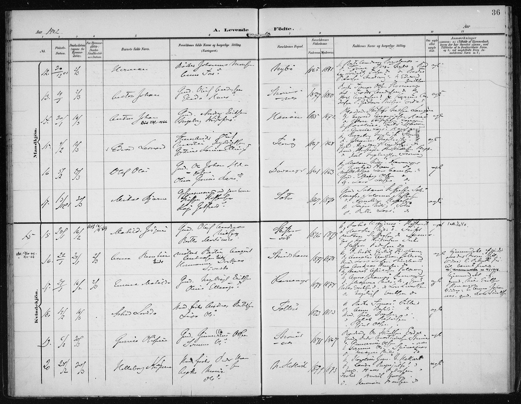 Askøy Sokneprestembete, SAB/A-74101/H/Ha/Haa/Haac/L0001: Ministerialbok nr. C 1, 1899-1905, s. 36