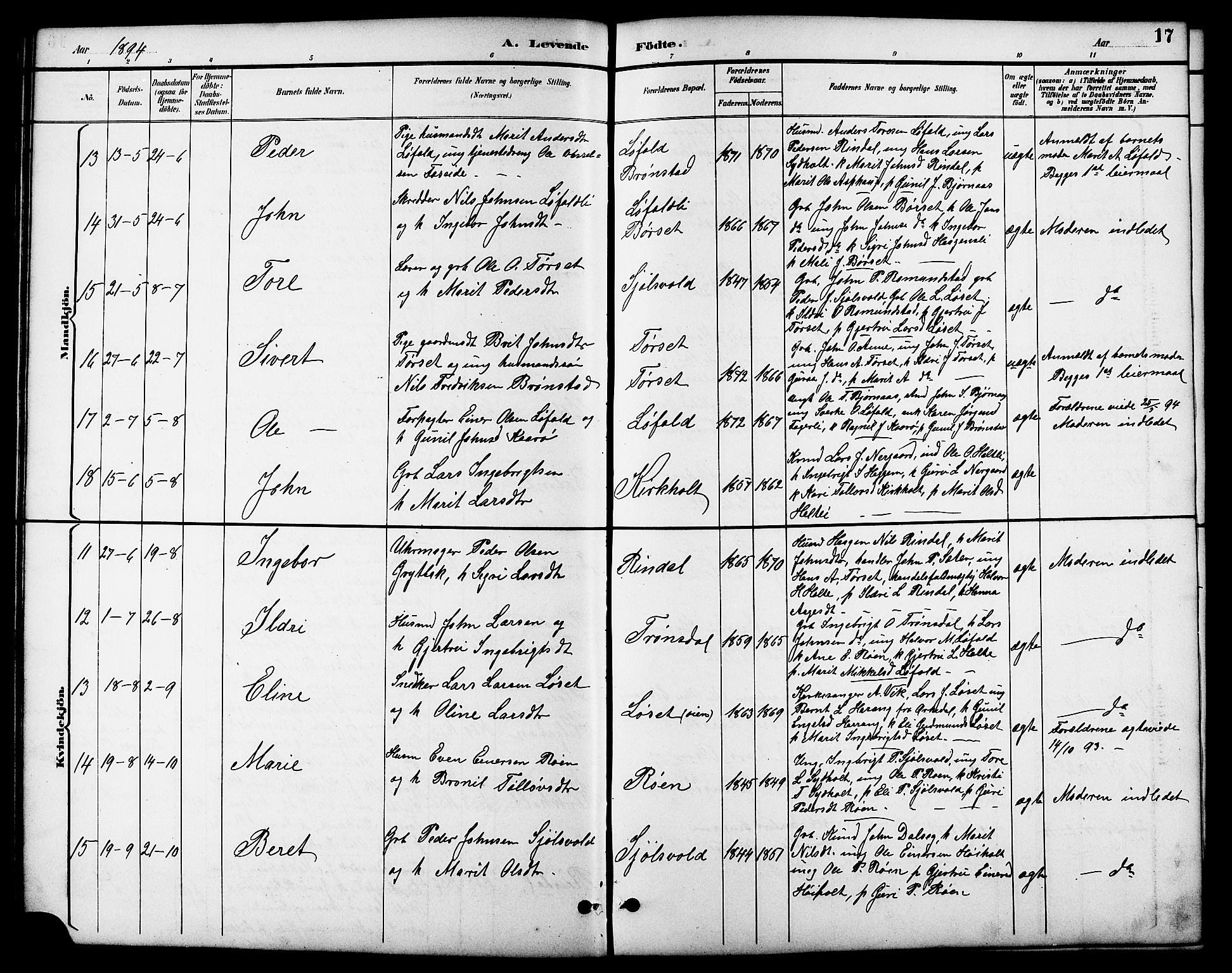 Ministerialprotokoller, klokkerbøker og fødselsregistre - Møre og Romsdal, SAT/A-1454/598/L1078: Klokkerbok nr. 598C03, 1892-1909, s. 17