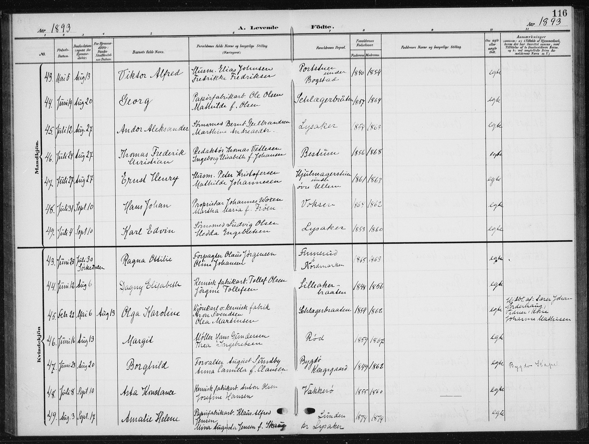 Vestre Aker prestekontor Kirkebøker, AV/SAO-A-10025/F/Fb/L0001: Ministerialbok nr. II 1, 1880-1906, s. 116