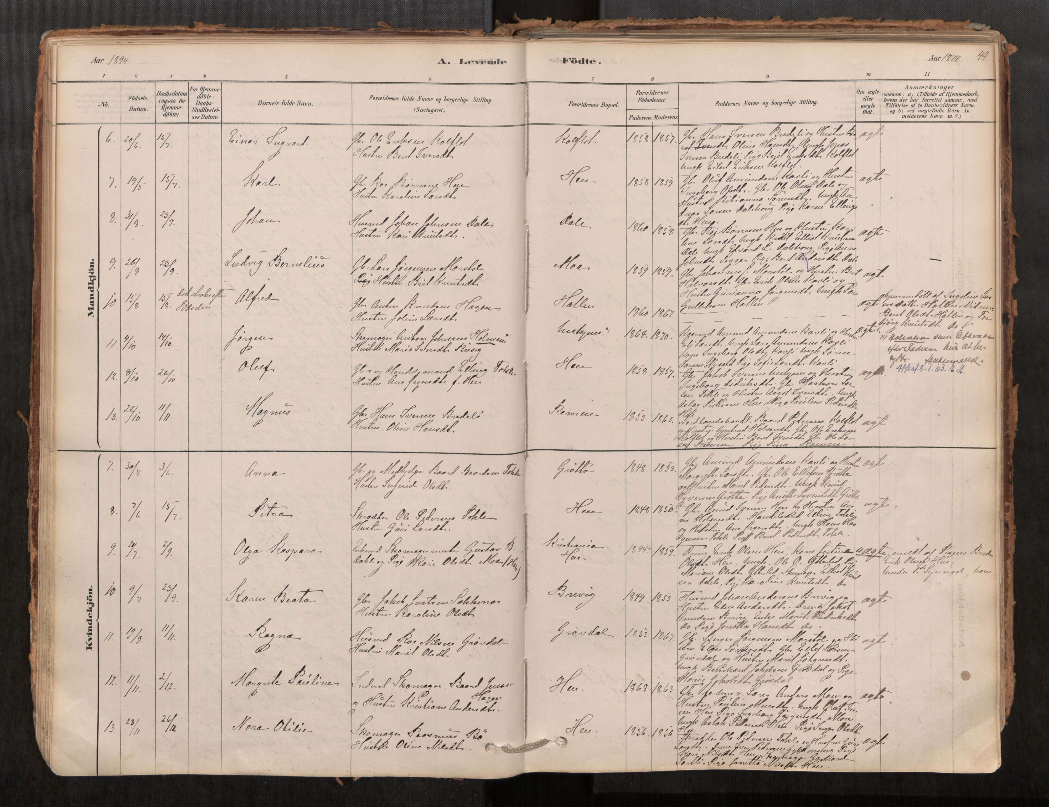 Ministerialprotokoller, klokkerbøker og fødselsregistre - Møre og Romsdal, SAT/A-1454/545/L0594: Ministerialbok nr. 545A03, 1878-1920, s. 44