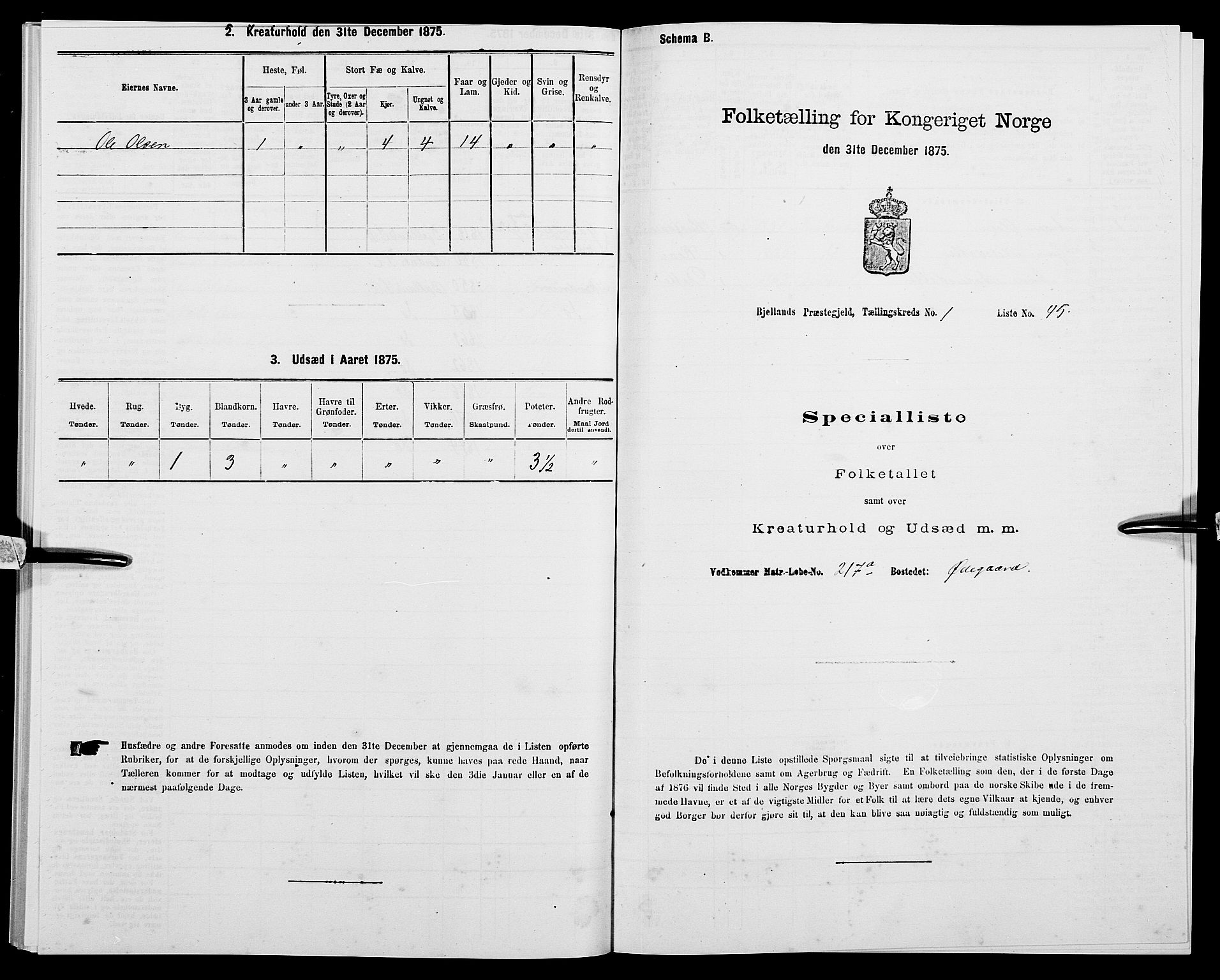 SAK, Folketelling 1875 for 1024P Bjelland prestegjeld, 1875, s. 123