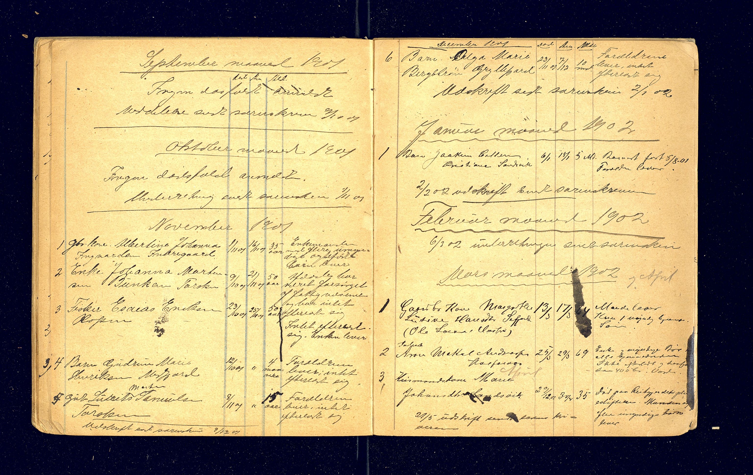 Berg og Torsken lensmannskontor, AV/SATØ-S-1274/F/Fj/Fja/L0151: Dødsfallsprotokoll, 1894-1901