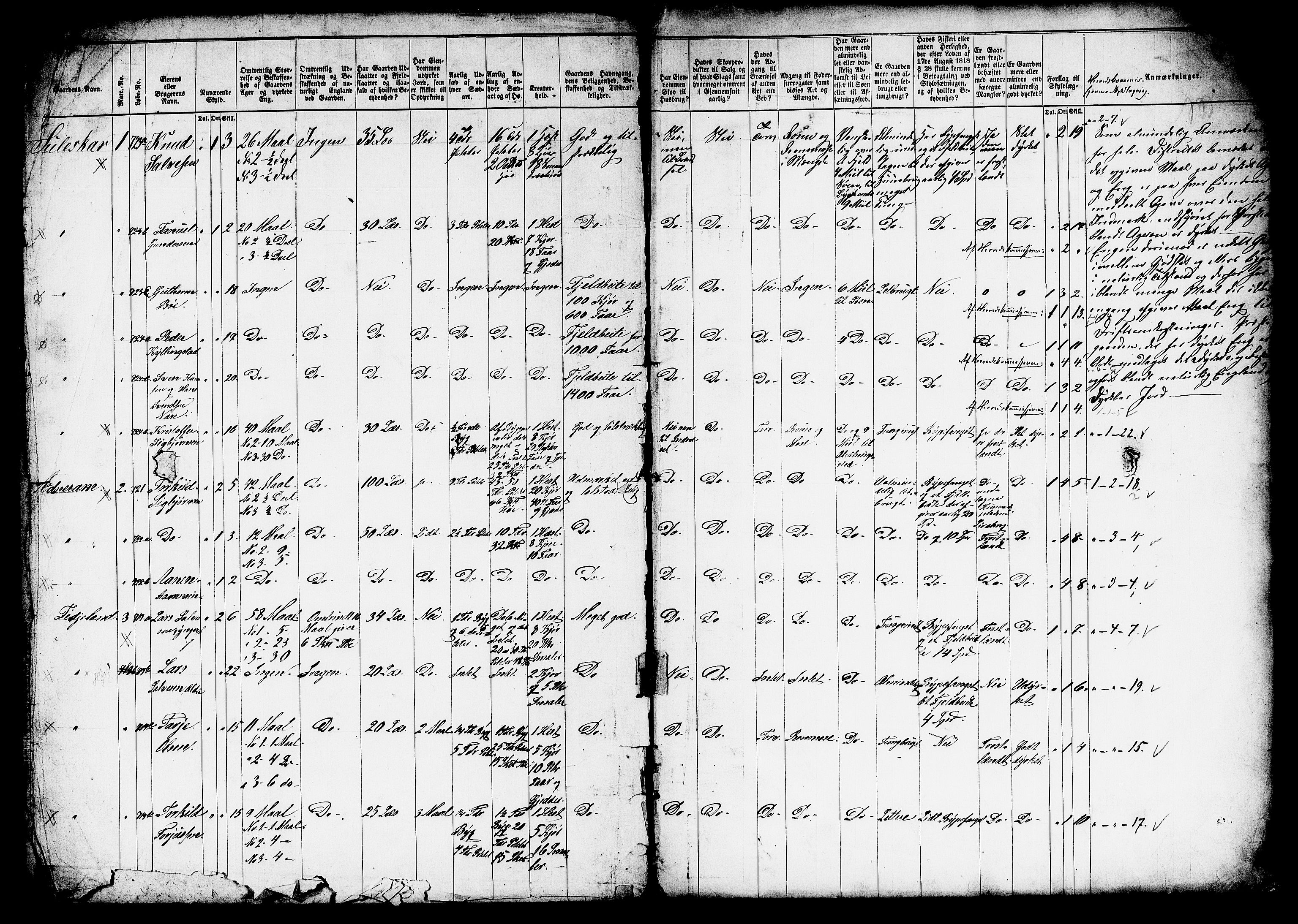 Matrikkelrevisjonen av 1863, AV/RA-S-1530/F/Fe/L0189/0001: Sirdal (Tonstad) / I. Den forberedende kommite, 1863