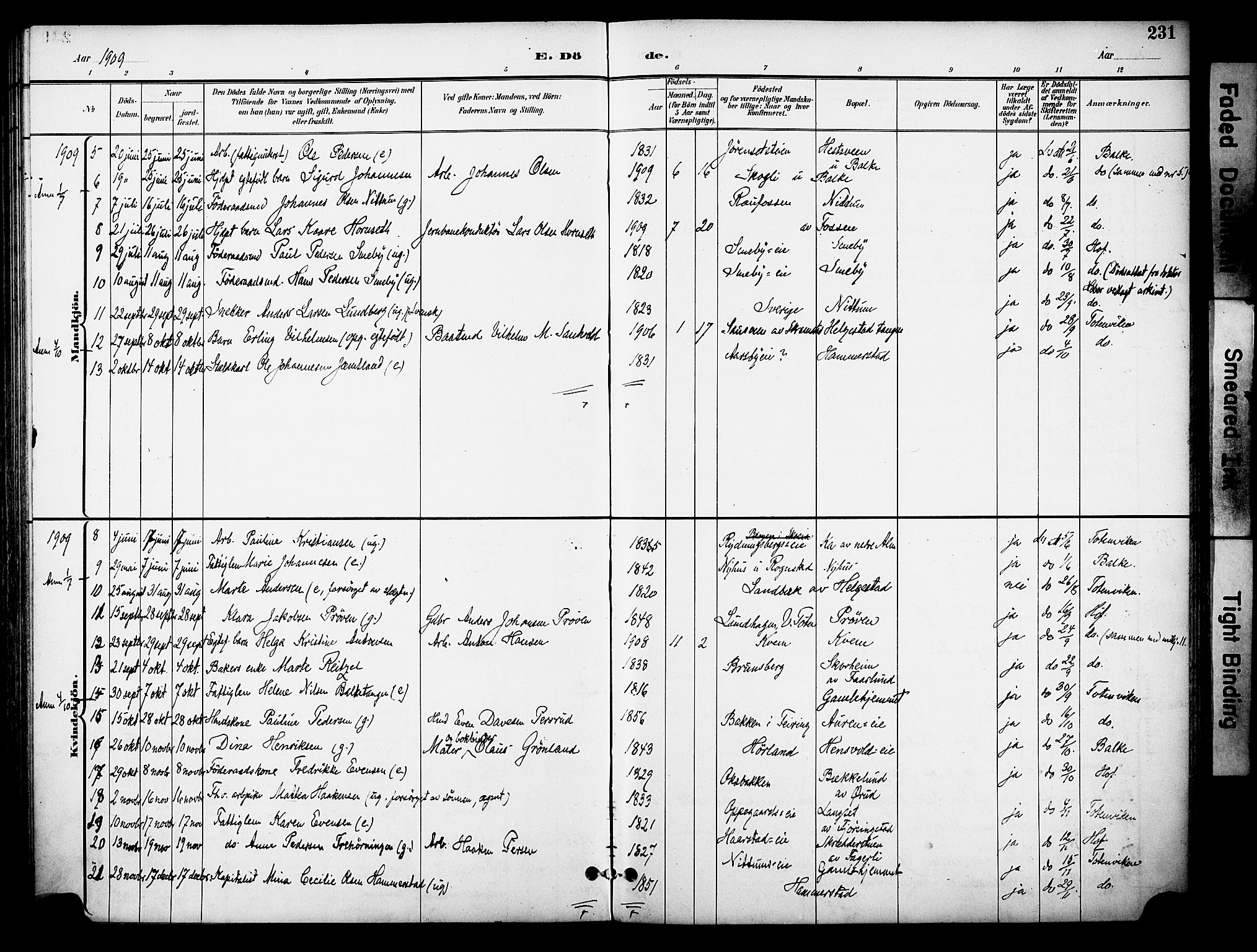 Østre Toten prestekontor, AV/SAH-PREST-104/H/Ha/Haa/L0009: Ministerialbok nr. 9, 1897-1913, s. 231