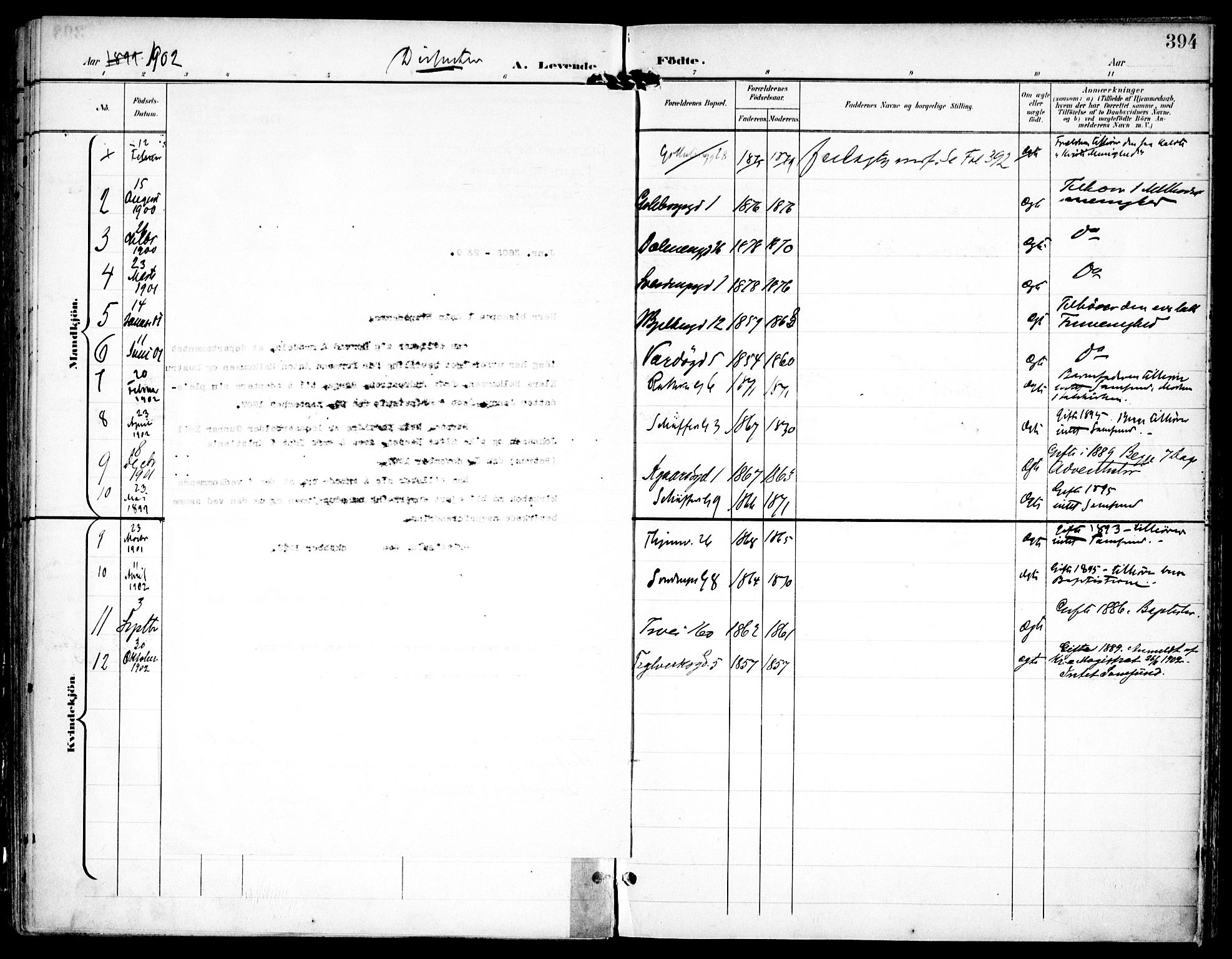 Petrus prestekontor Kirkebøker, AV/SAO-A-10872/F/Fa/L0008: Ministerialbok nr. I 8, 1899-1909, s. 394