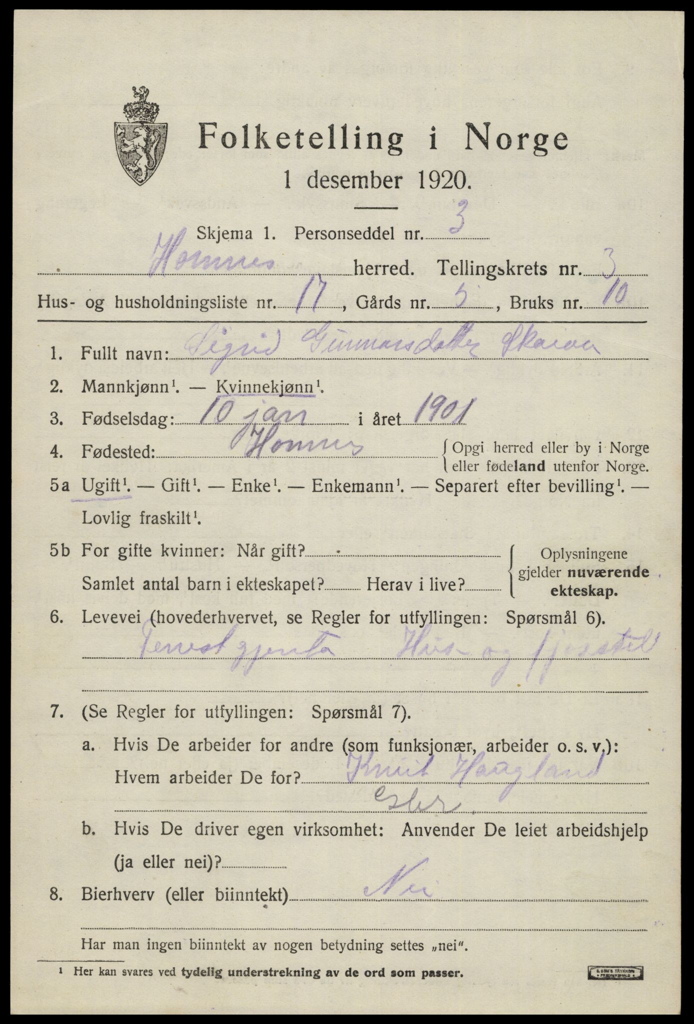 SAK, Folketelling 1920 for 0936 Hornnes herred, 1920, s. 1011