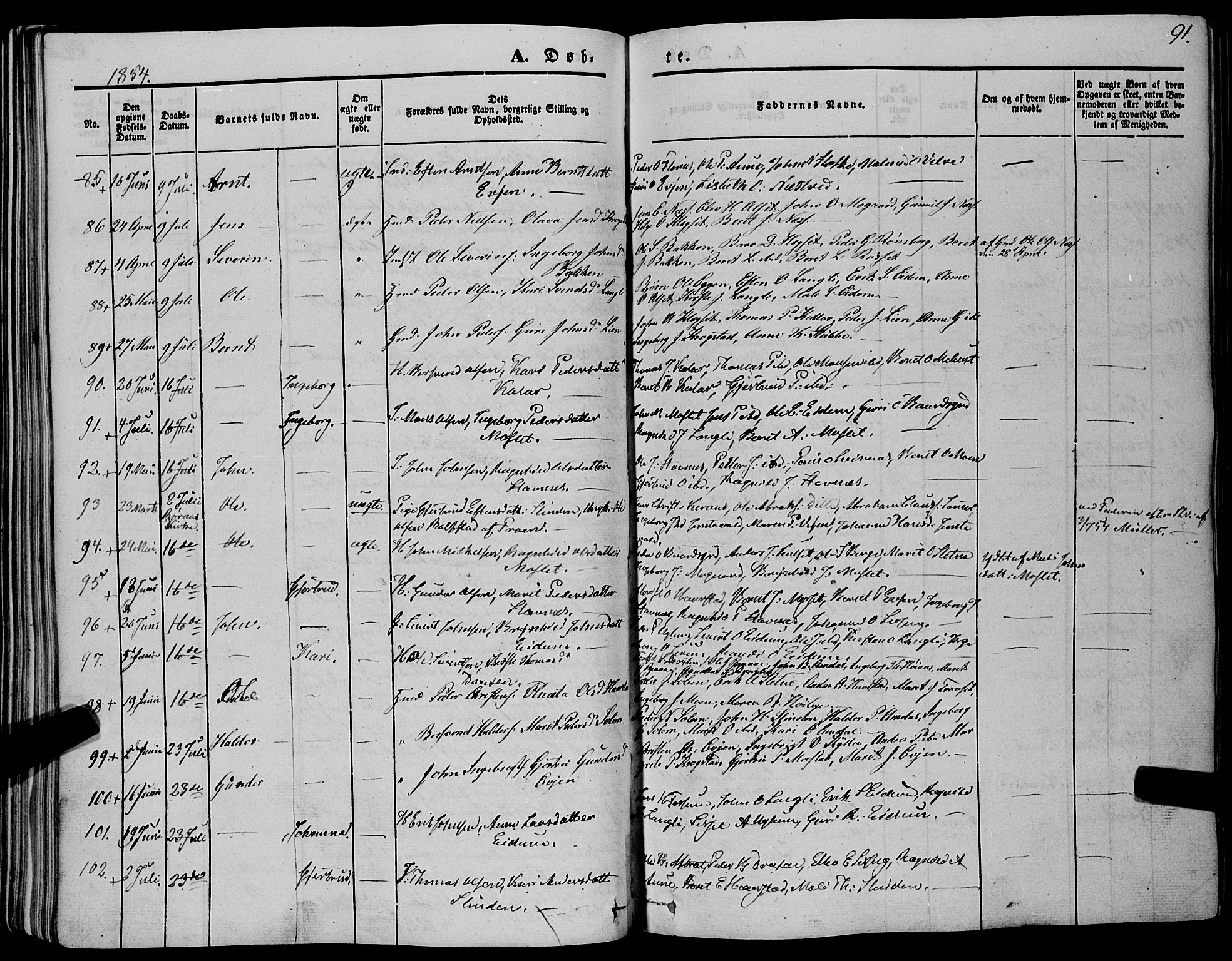 Ministerialprotokoller, klokkerbøker og fødselsregistre - Sør-Trøndelag, SAT/A-1456/695/L1145: Ministerialbok nr. 695A06 /1, 1843-1859, s. 91