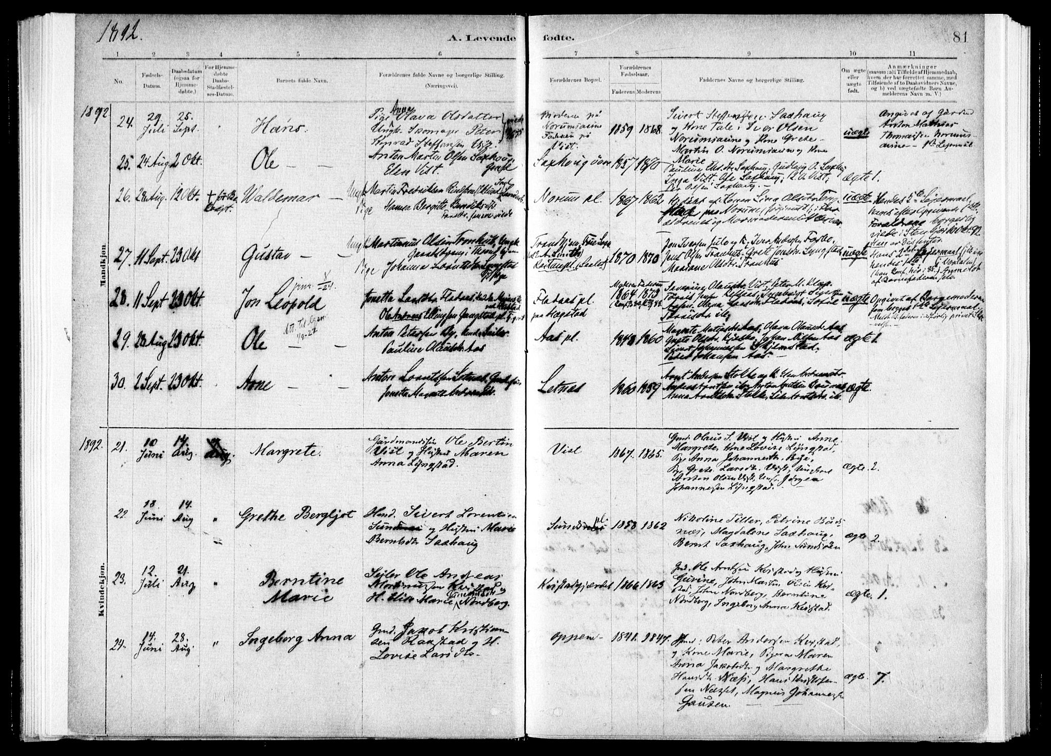 Ministerialprotokoller, klokkerbøker og fødselsregistre - Nord-Trøndelag, SAT/A-1458/730/L0285: Ministerialbok nr. 730A10, 1879-1914, s. 81