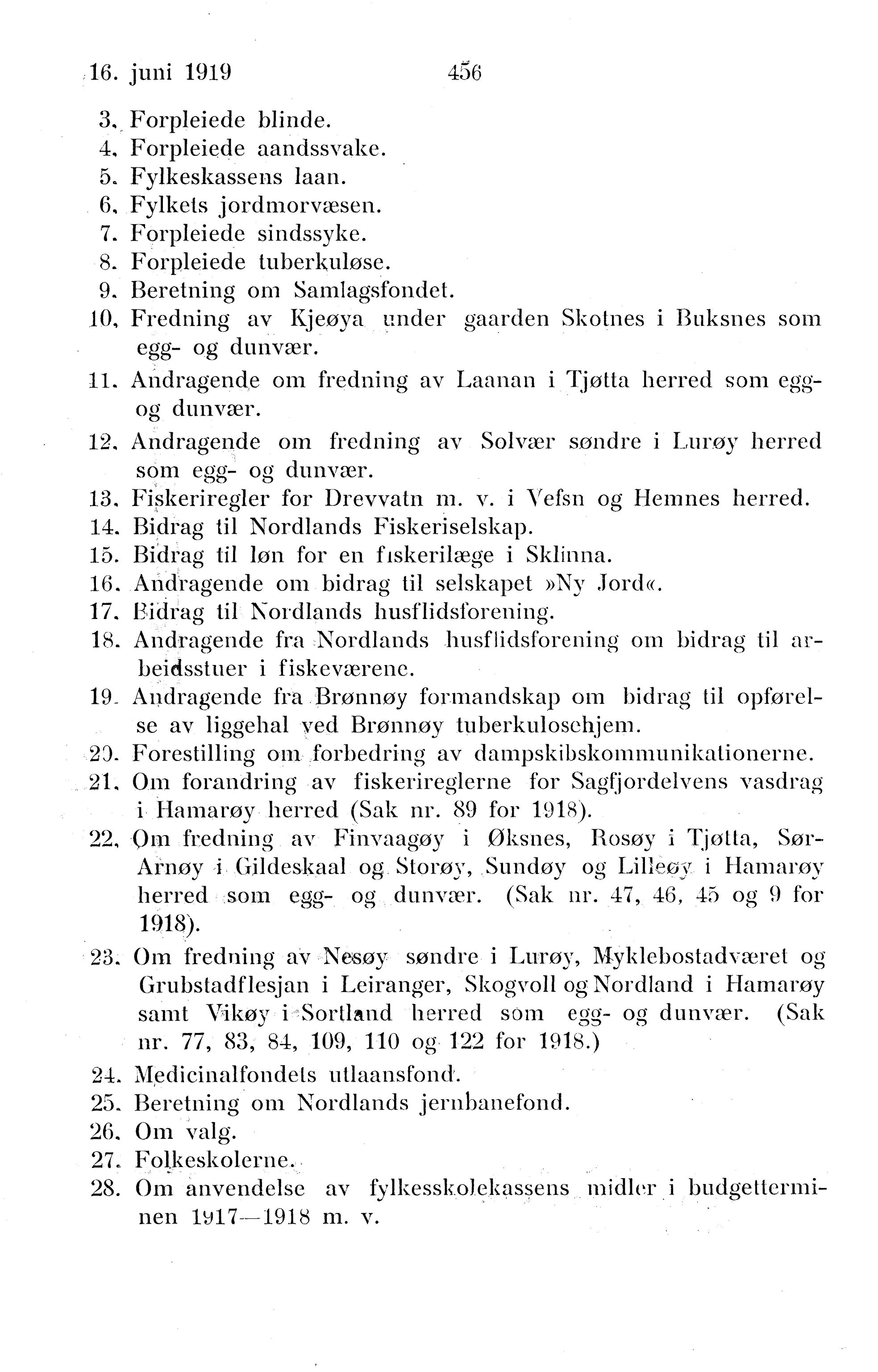 Nordland Fylkeskommune. Fylkestinget, AIN/NFK-17/176/A/Ac/L0042: Fylkestingsforhandlinger 1919, 1919