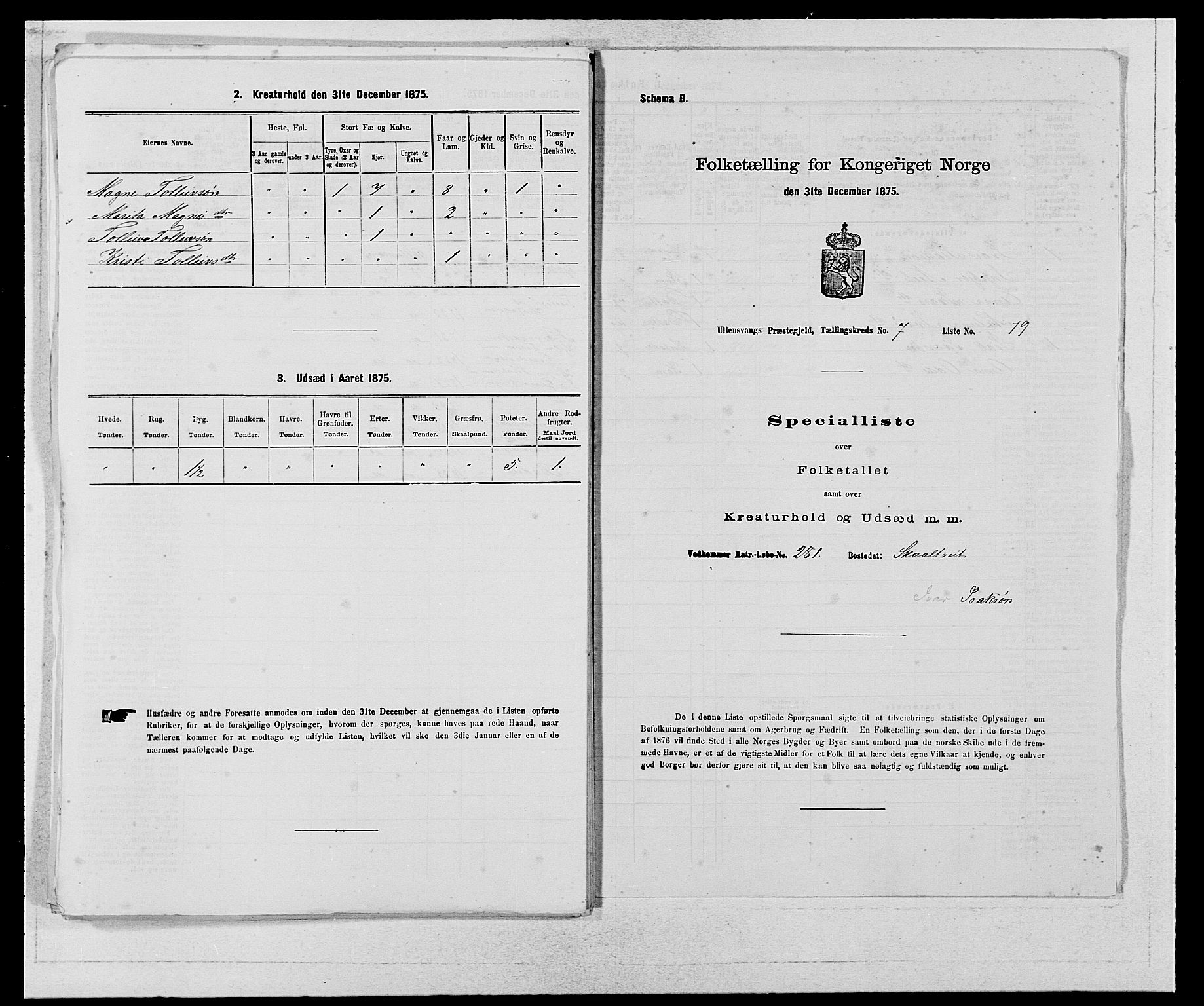 SAB, Folketelling 1875 for 1230P Ullensvang prestegjeld, 1875, s. 738