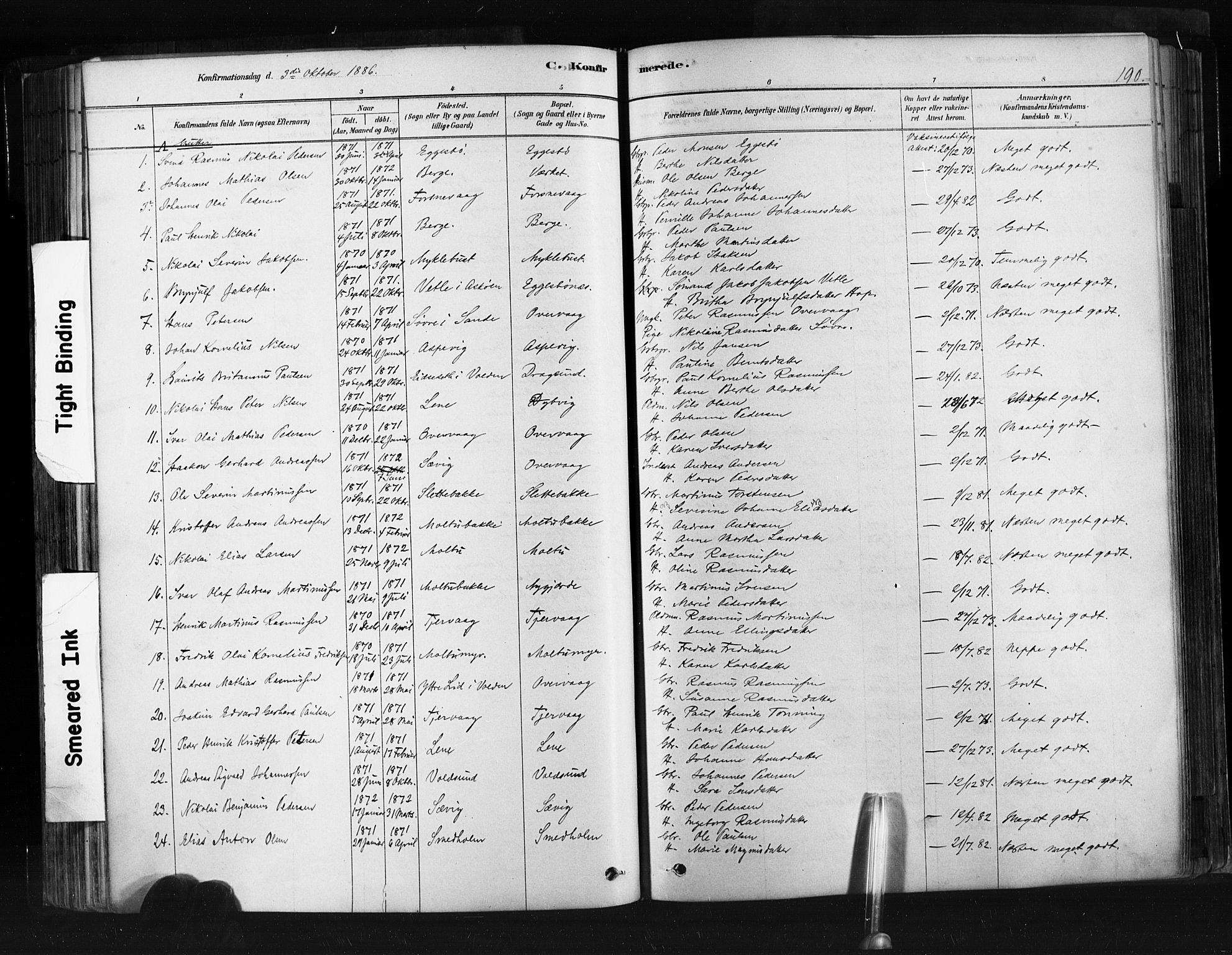 Ministerialprotokoller, klokkerbøker og fødselsregistre - Møre og Romsdal, AV/SAT-A-1454/507/L0073: Ministerialbok nr. 507A08, 1878-1904, s. 190