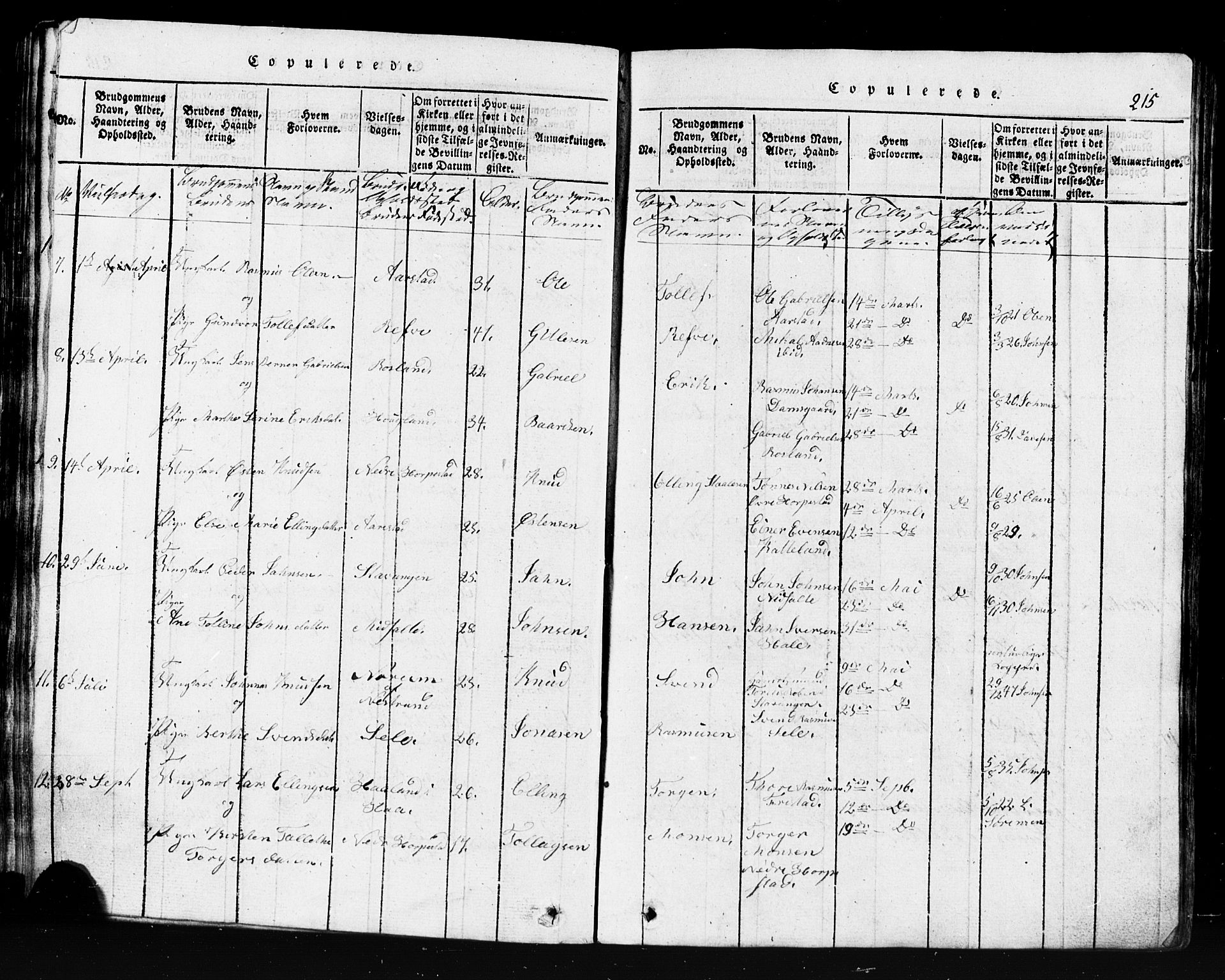 Klepp sokneprestkontor, AV/SAST-A-101803/001/3/30BB/L0001: Klokkerbok nr.  B 1, 1816-1859, s. 215