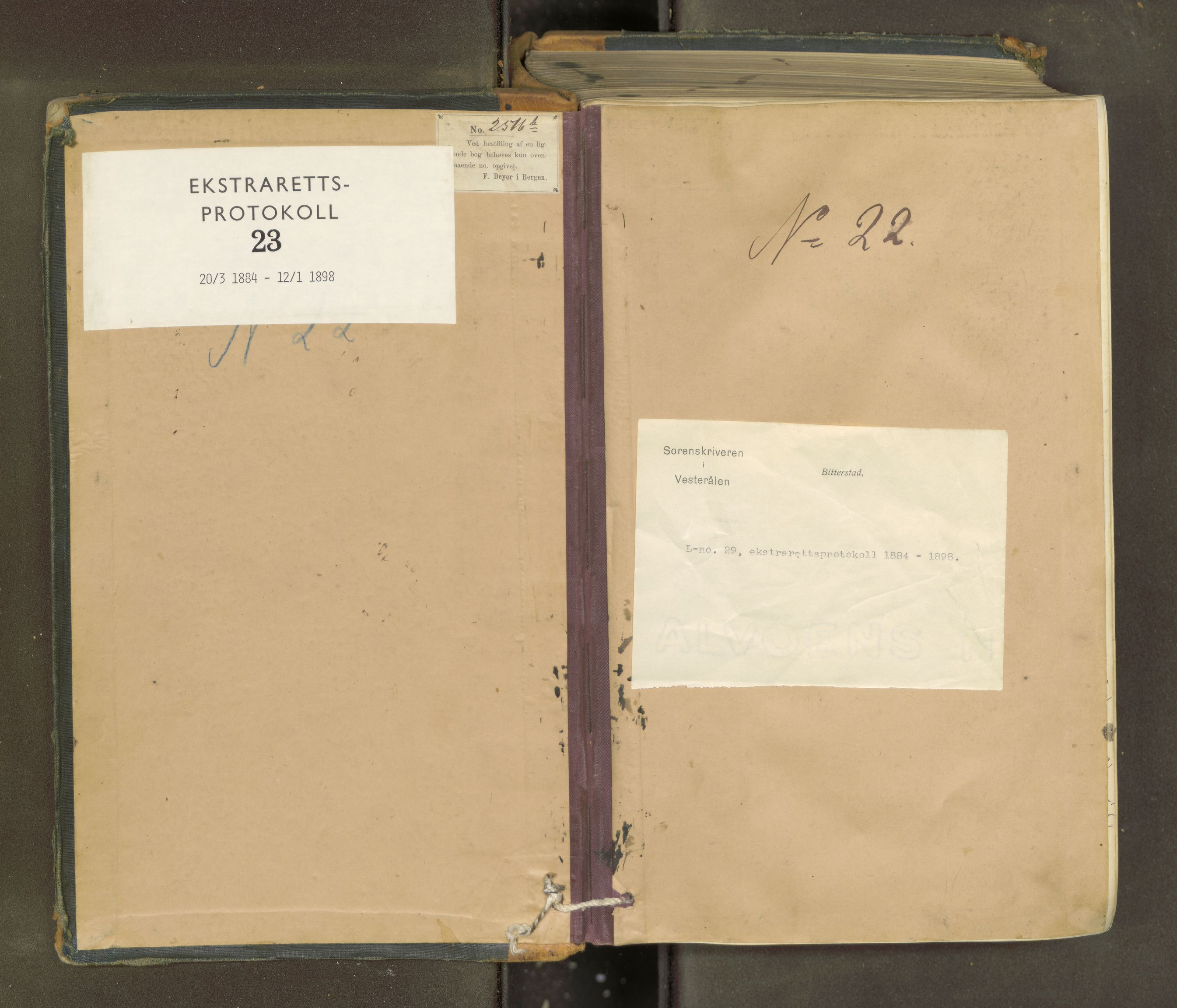 Vesterålen sorenskriveri, SAT/A-4180/1/1/1B/L0023: Ekstrarettsprotokoll, 1884-1898