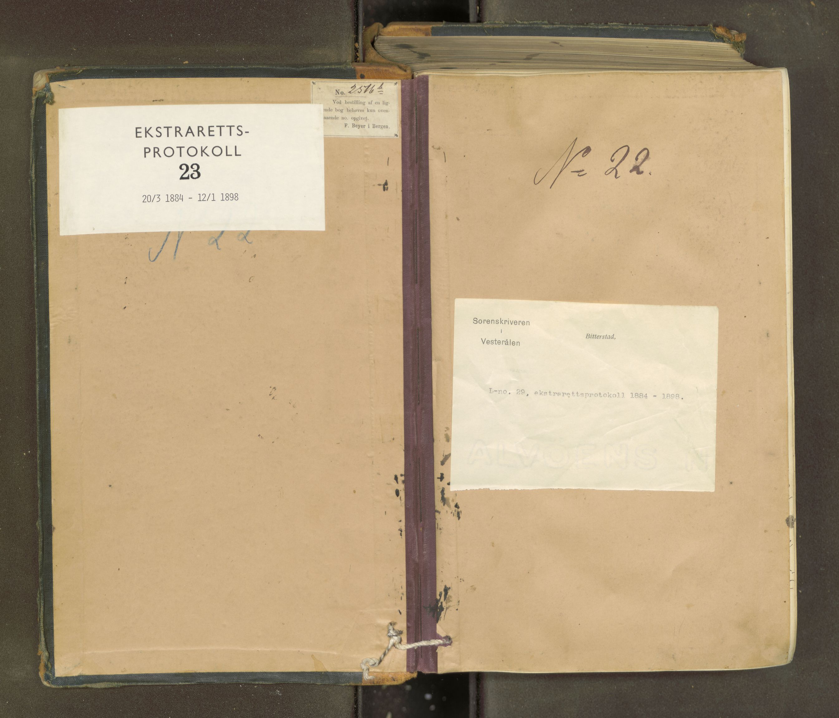 Vesterålen sorenskriveri, AV/SAT-A-4180/1/1/1B/L0023: Ekstrarettsprotokoll, 1884-1898
