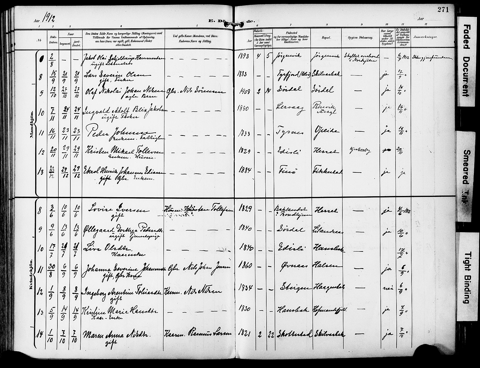 Ministerialprotokoller, klokkerbøker og fødselsregistre - Nordland, AV/SAT-A-1459/859/L0848: Ministerialbok nr. 859A08, 1900-1912, s. 271